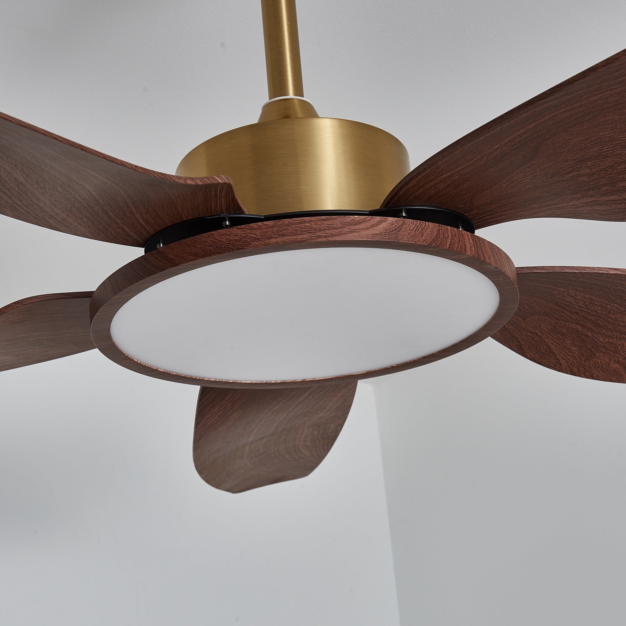 Aurelia Deckenventilator mit Beleuchtung und Fernbedienung.