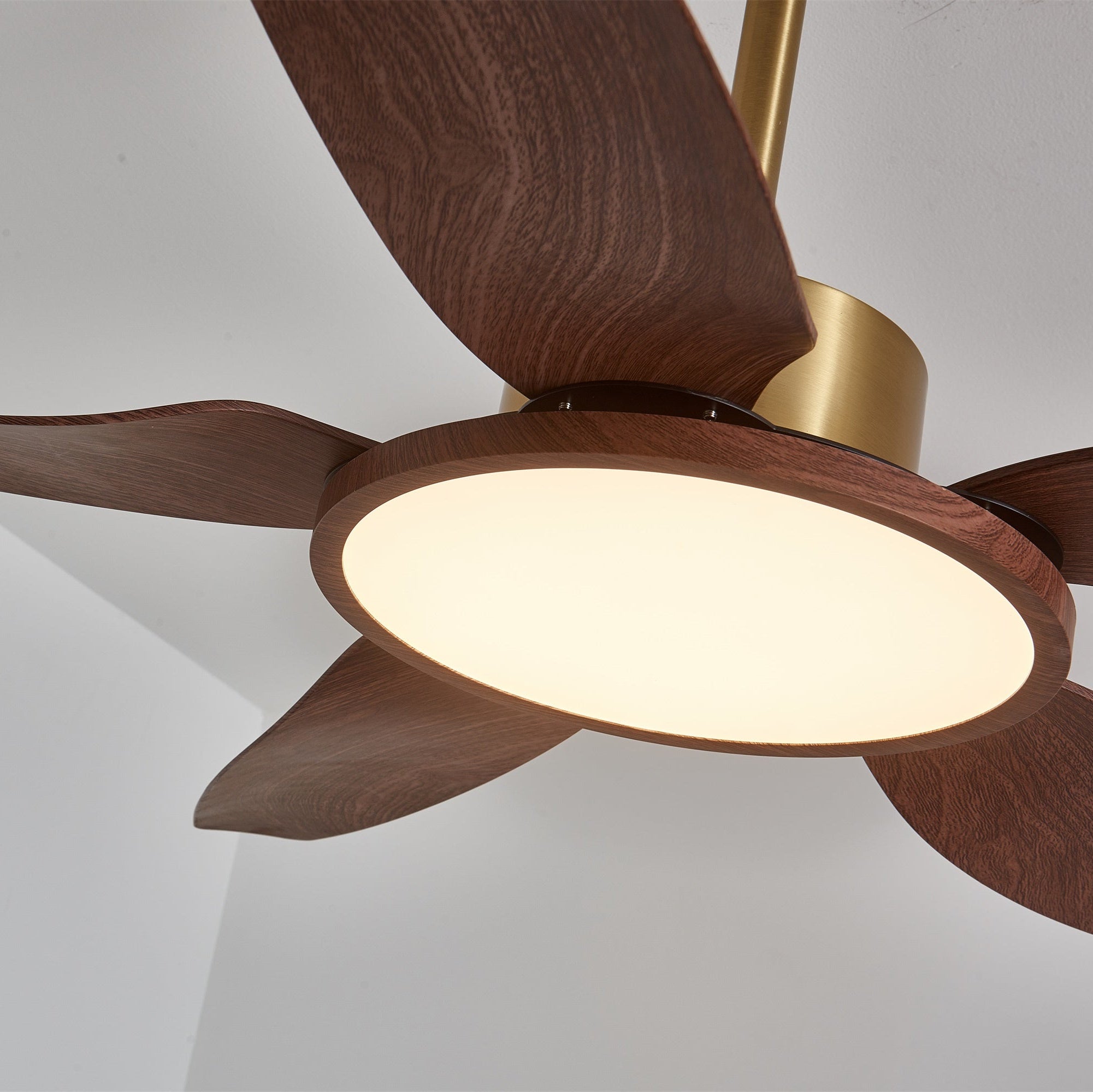 Aurelia Deckenventilator mit Beleuchtung, veranschaulicht seine 6-stufige Steuerung.