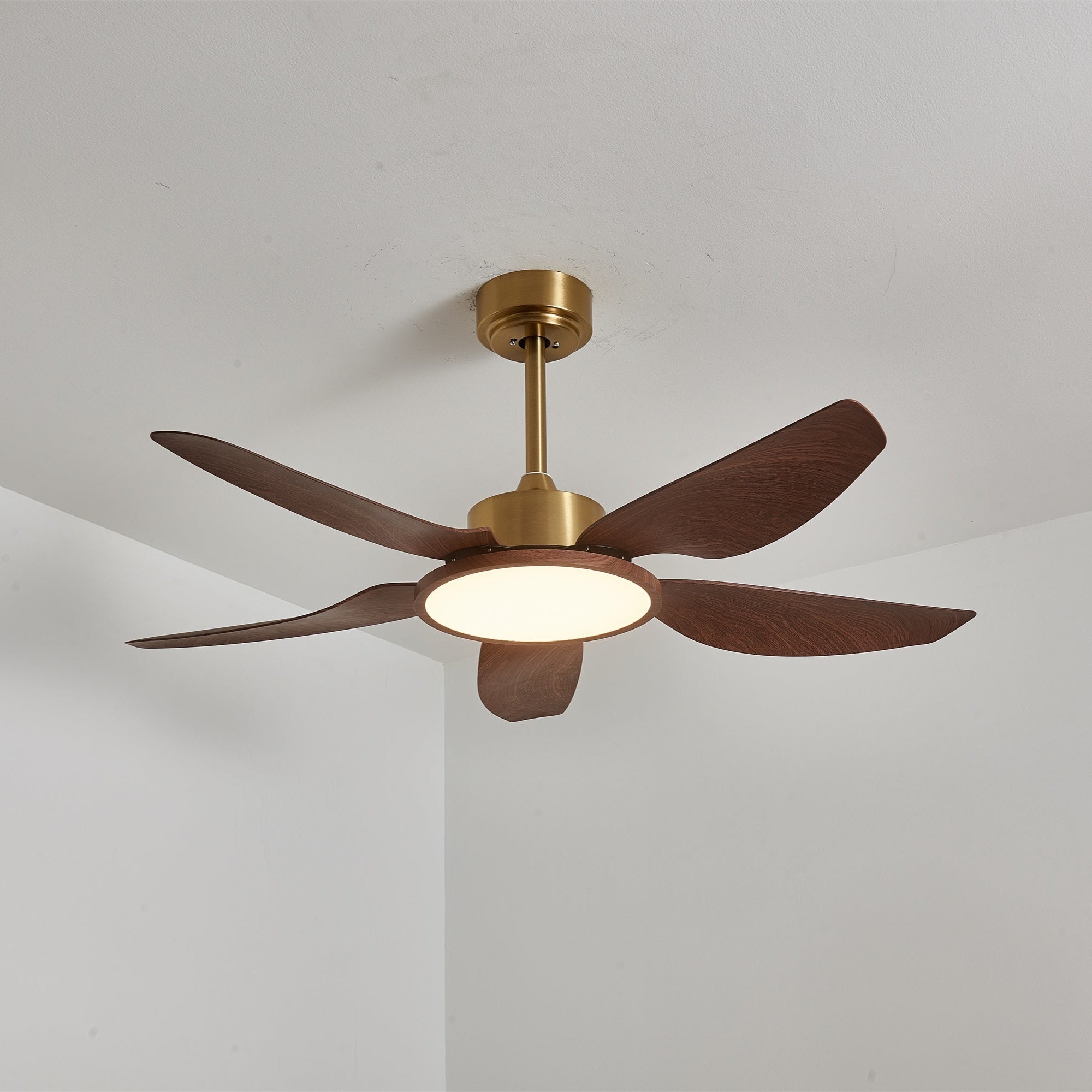 Aurelia Deckenventilator mit Beleuchtung, zeigt seine Eignung für den Innenbereich.