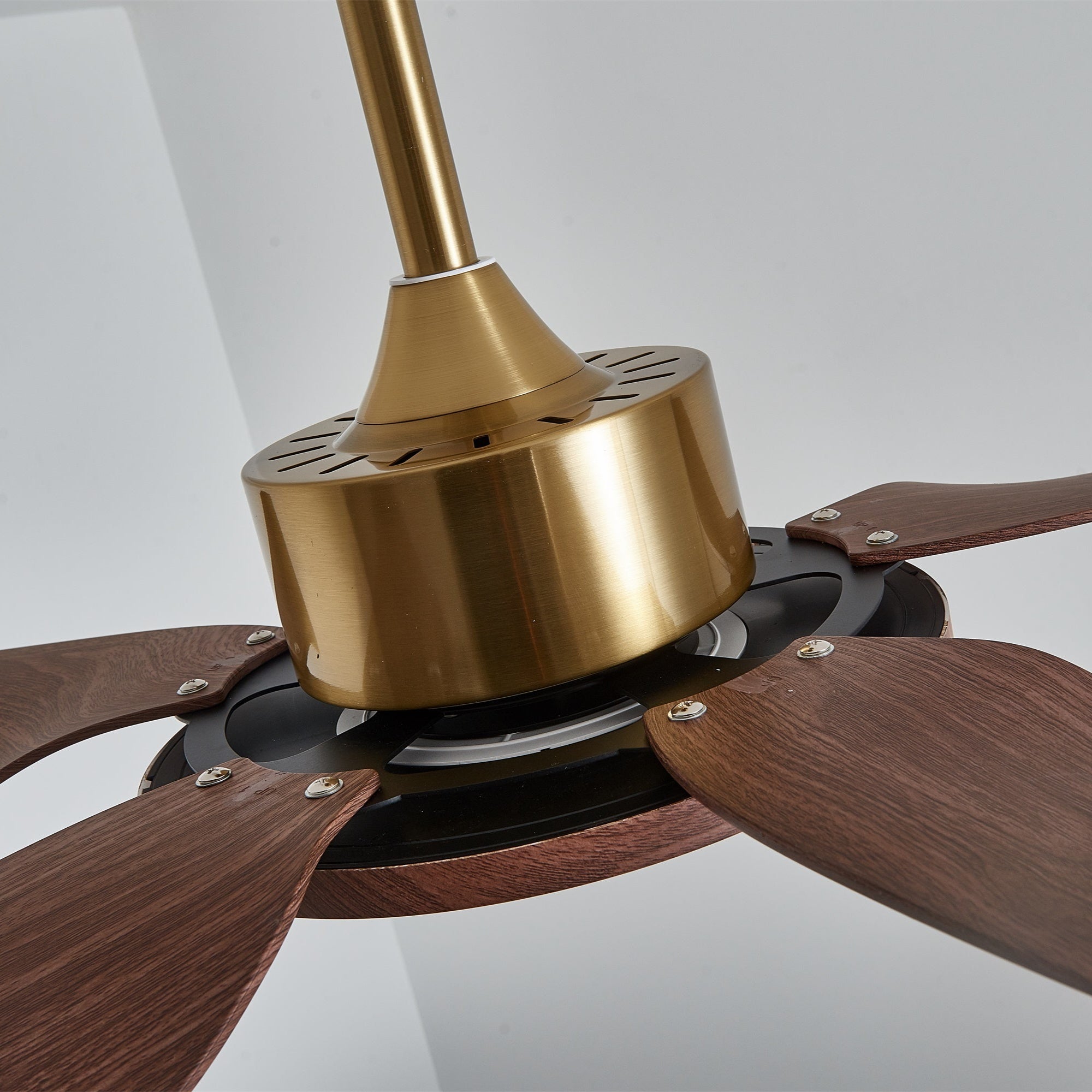 Aurelia Deckenventilator mit Beleuchtung, hebt seine festverdrahtete Installation hervor.