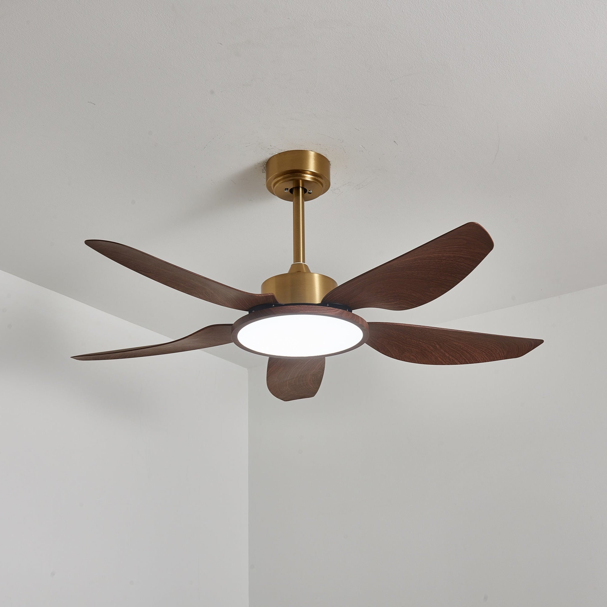 Aurelia Deckenventilator mit Beleuchtung, demonstriert seine variable Frequenzleistung.