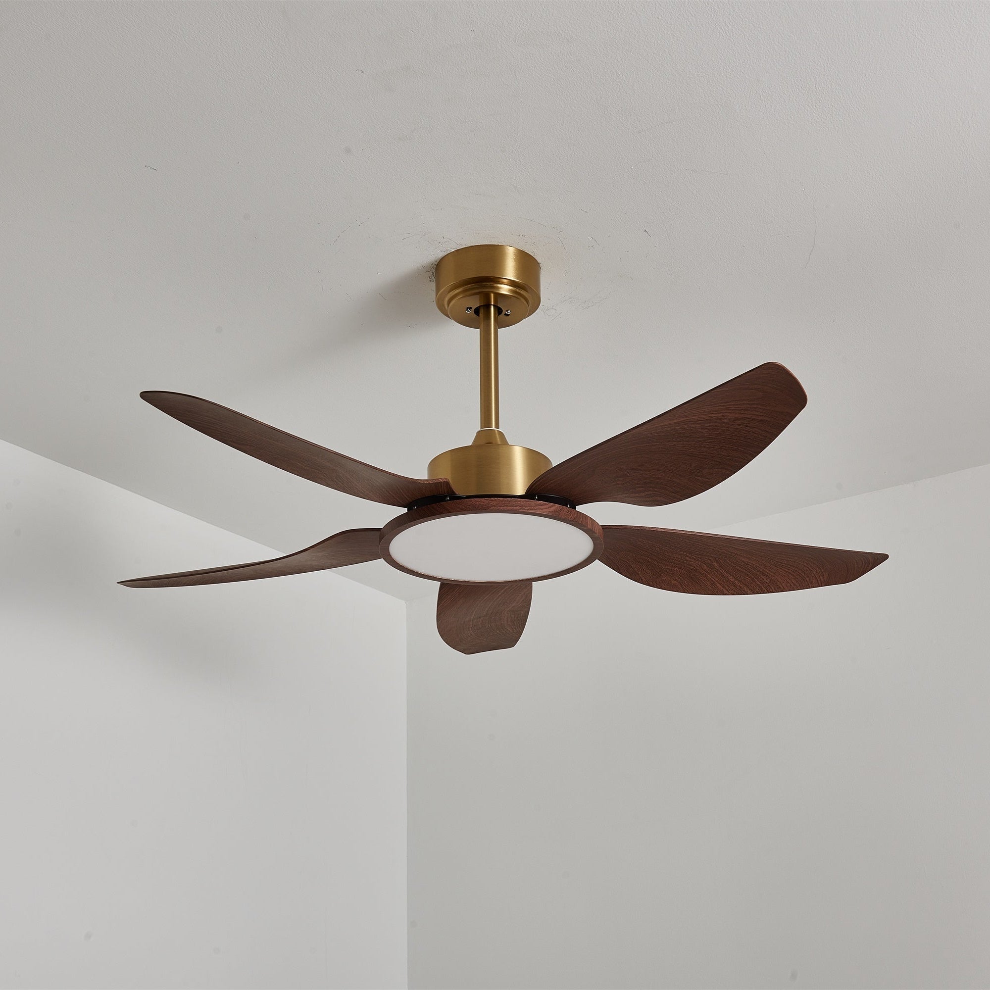 Der Deckenventilator mit Beleuchtung in einem modernen Wohnambiente.