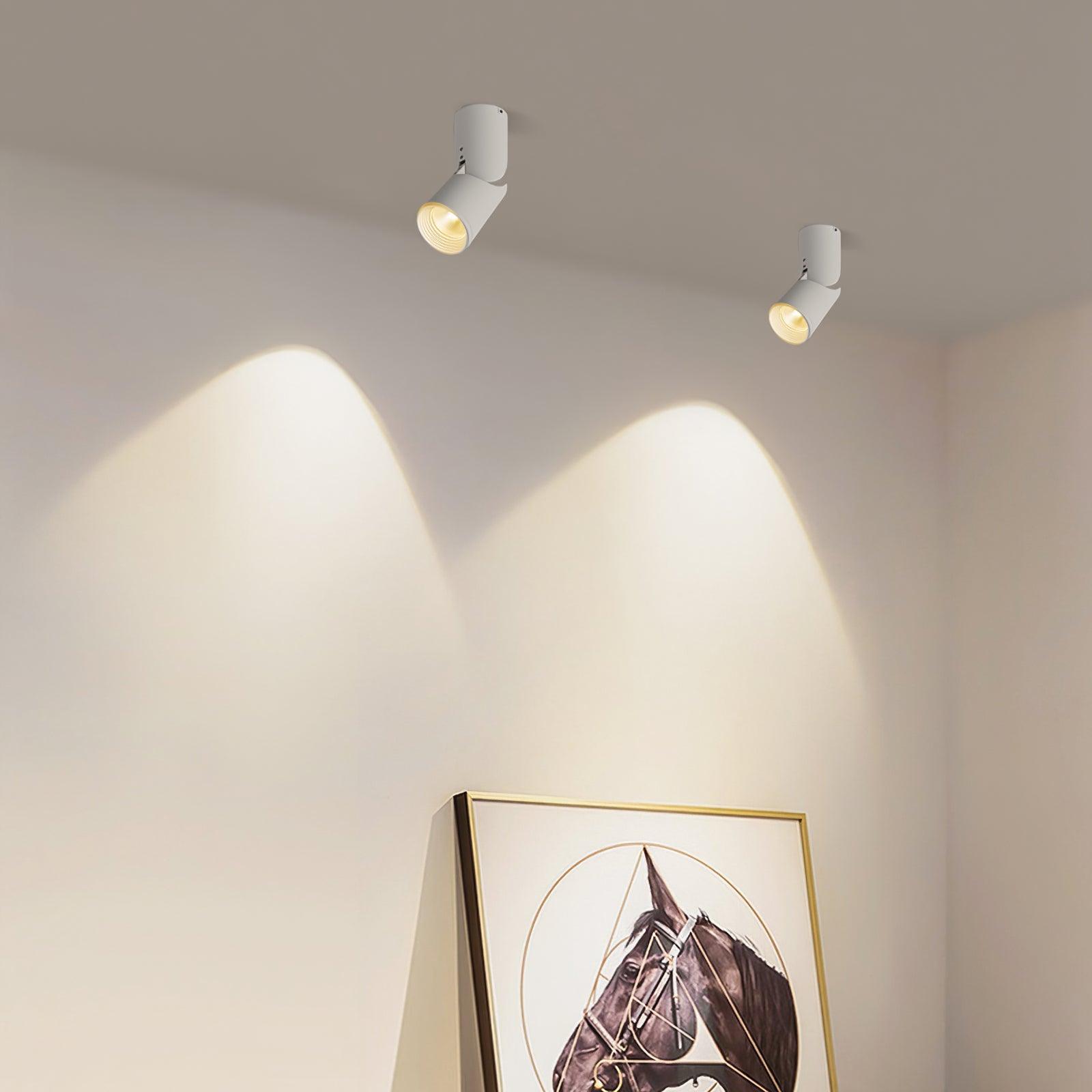 Lustra Deckenleuchte LED Spotlights Sunny Verstellbar-Letslighting