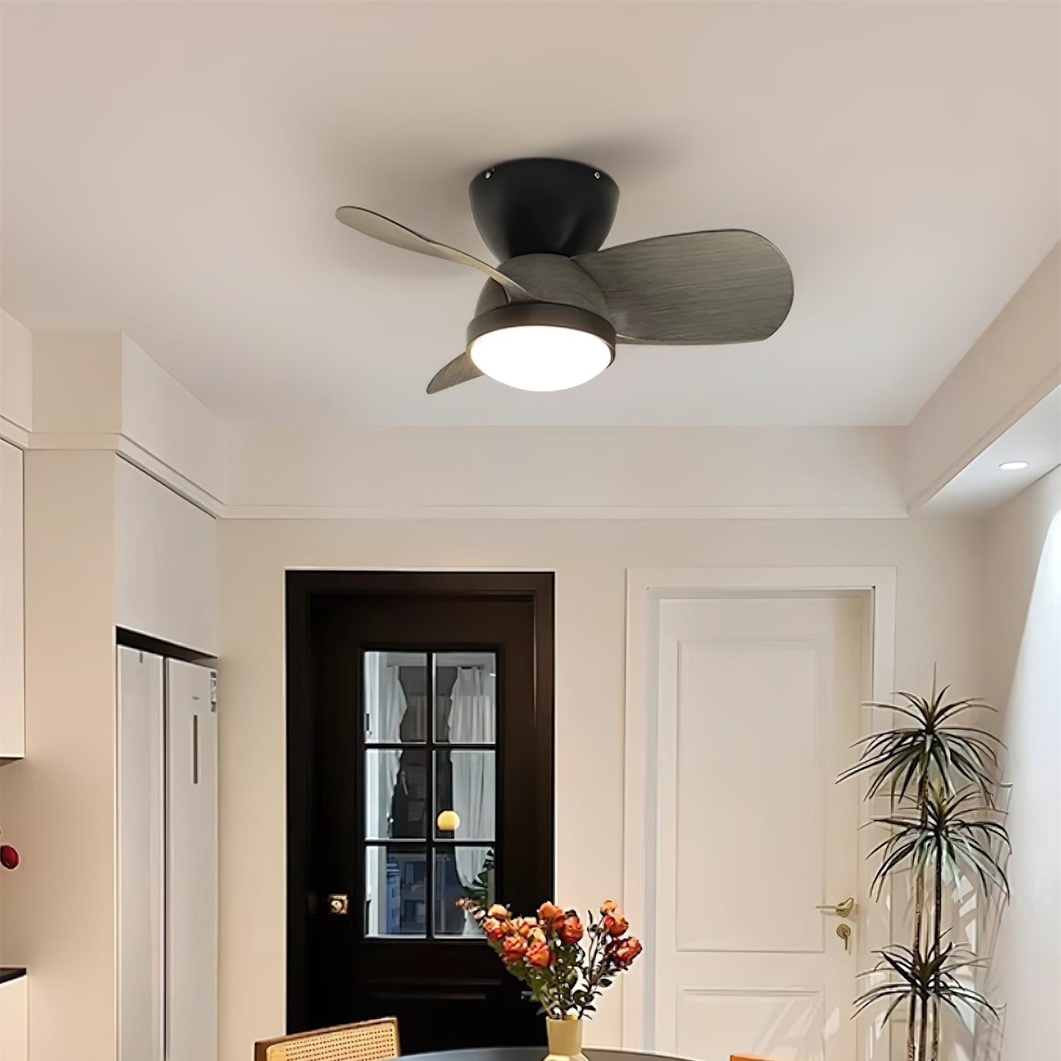 Ventra Deckenventilatorleuchte mit den Maßen Ø 61 cm x H 17,5 cm