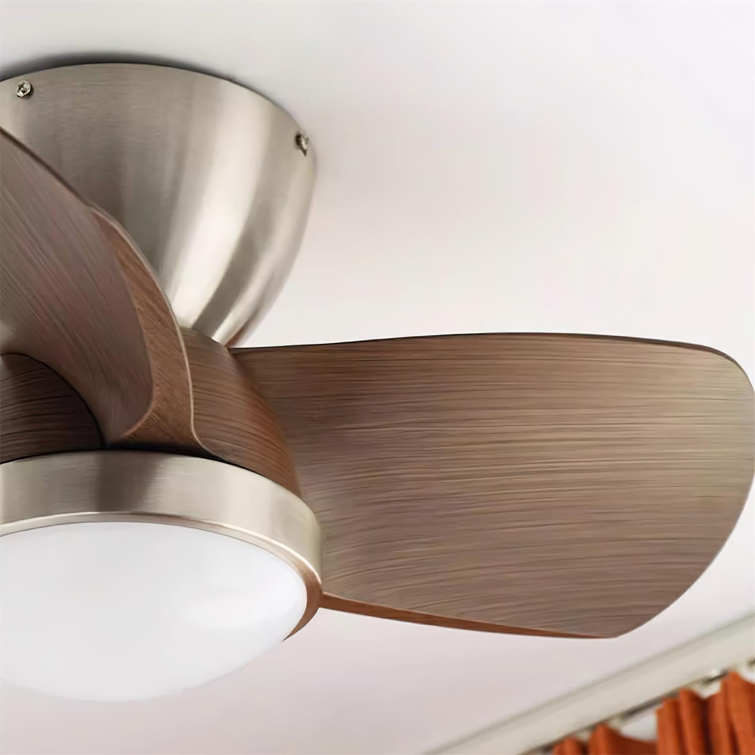 Ventra Deckenventilatorleuchte, die Umgebungslicht spendet