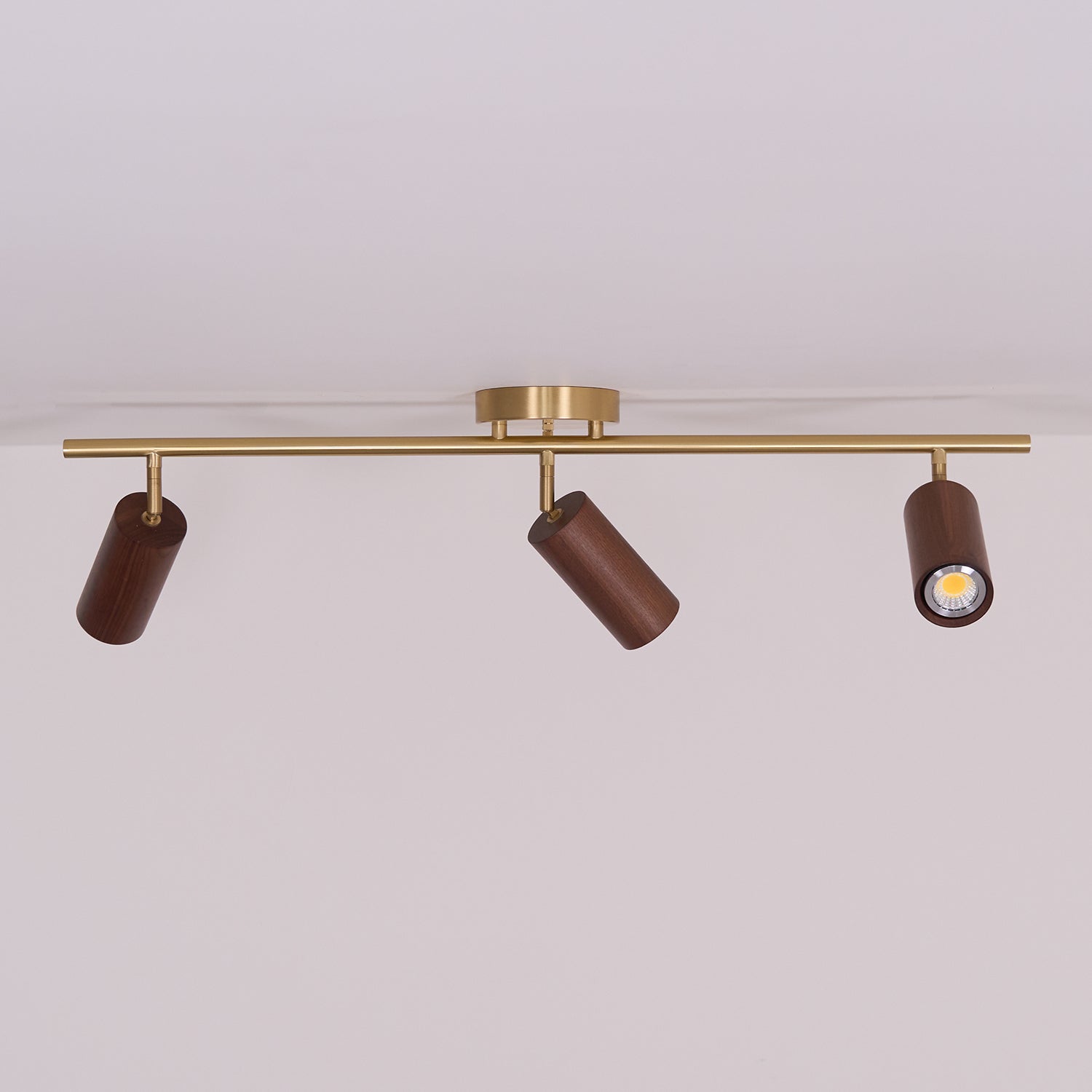 Liora Wooden Track Ceiling Light - Letslighting