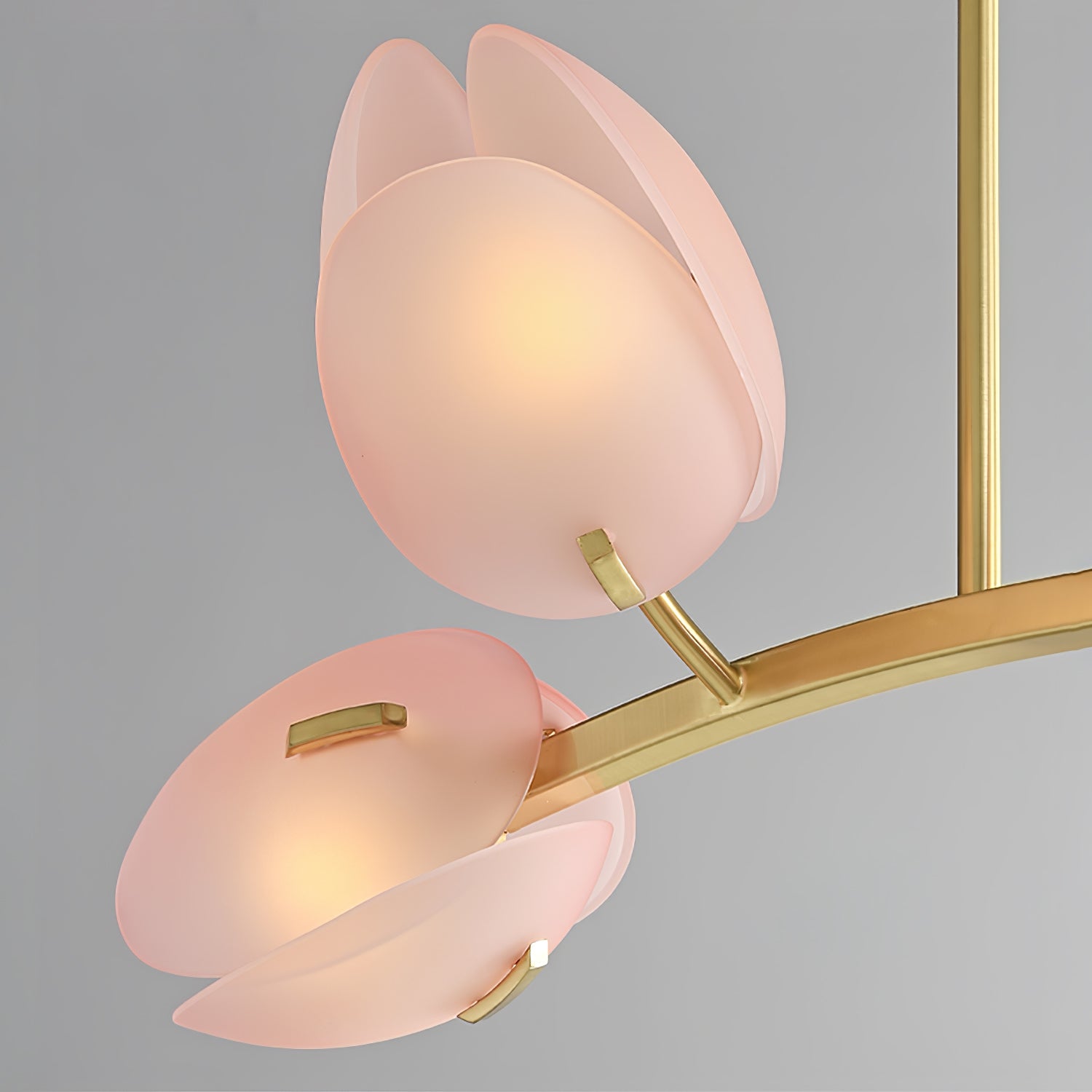 Blossom Zeitgenössisch Glas Kronleuchter-Letslighting