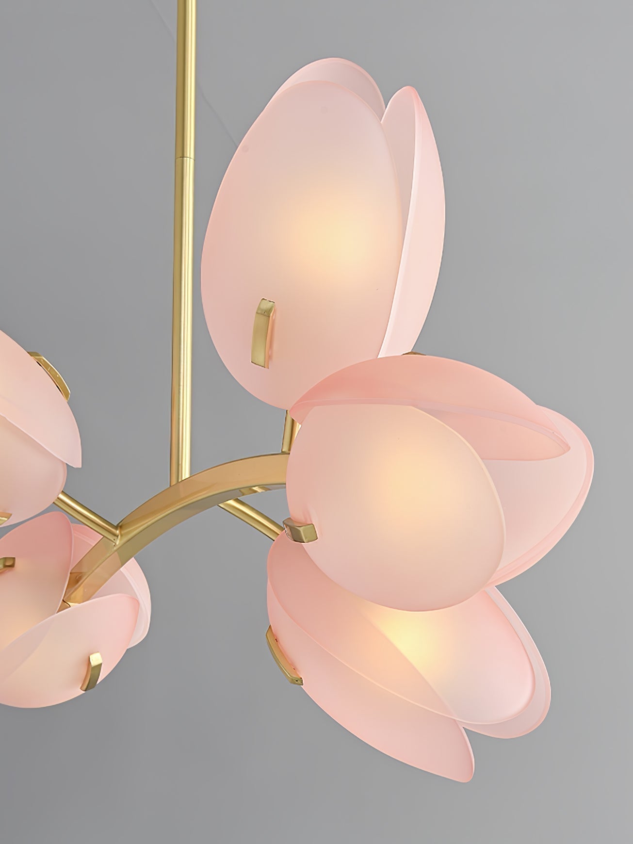 Blossom Zeitgenössisch Glas Kronleuchter-Letslighting