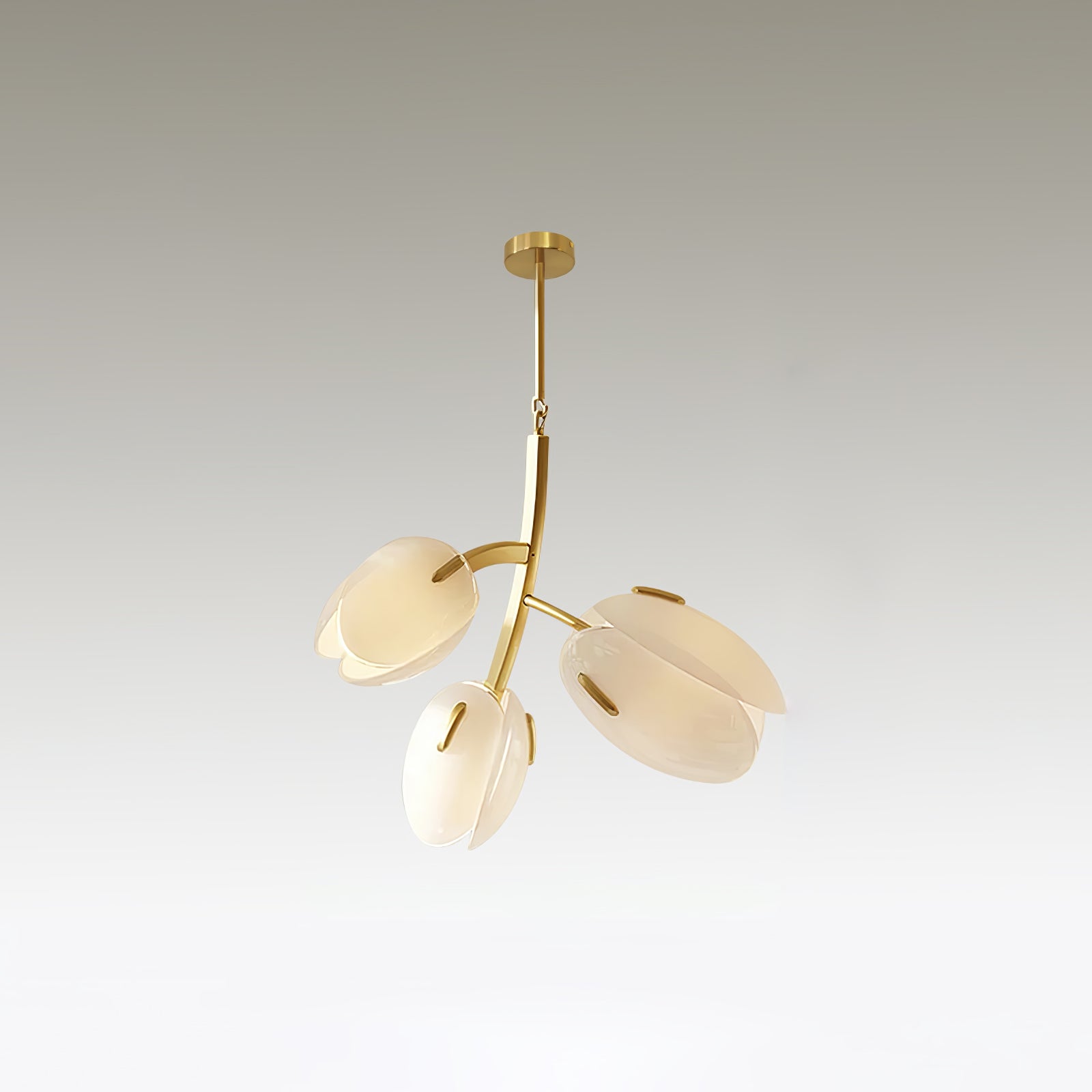 Blossom Zeitgenössisch Glas Kronleuchter-Letslighting