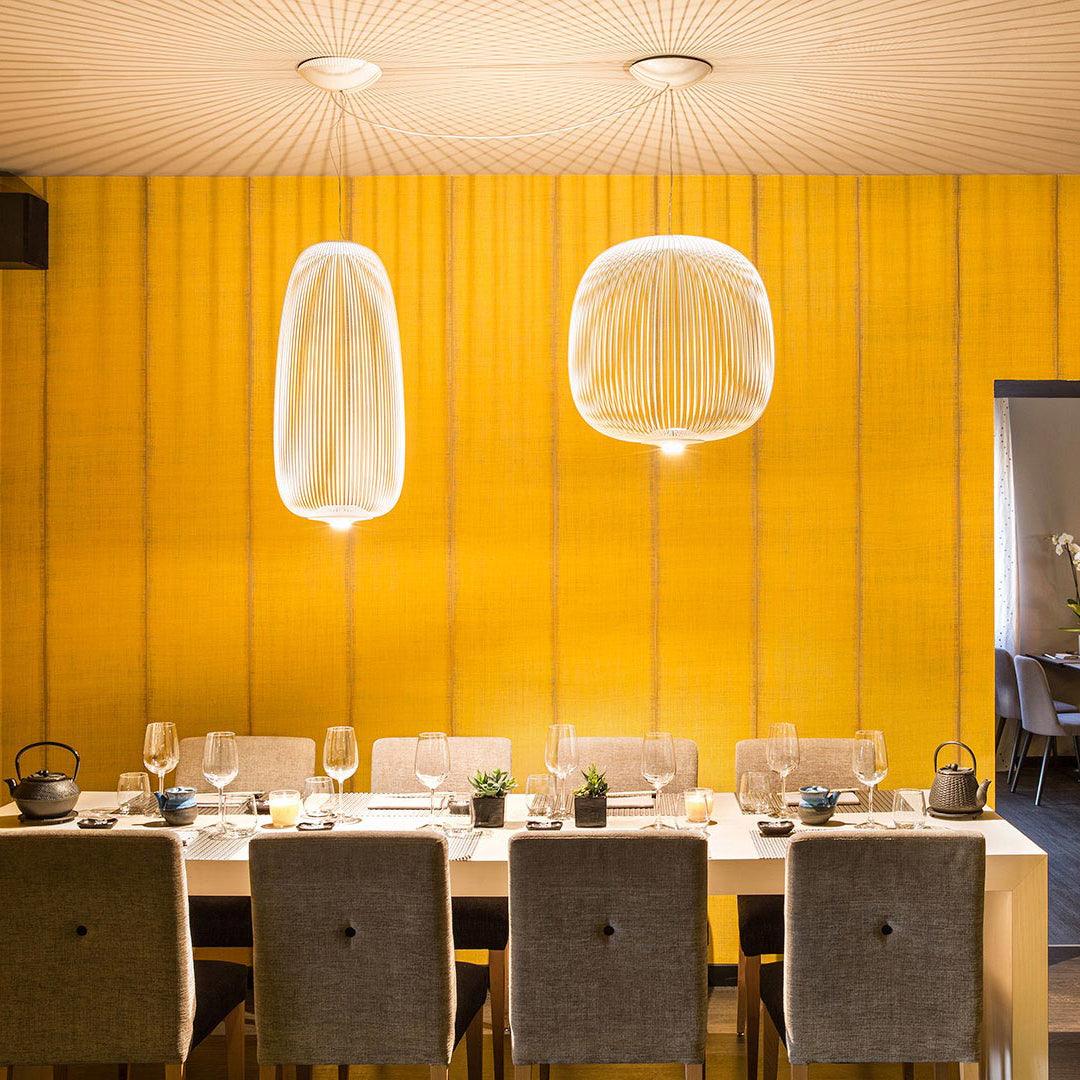 Aero Lightweight Spokes Cage Pendant Light - Letslighting