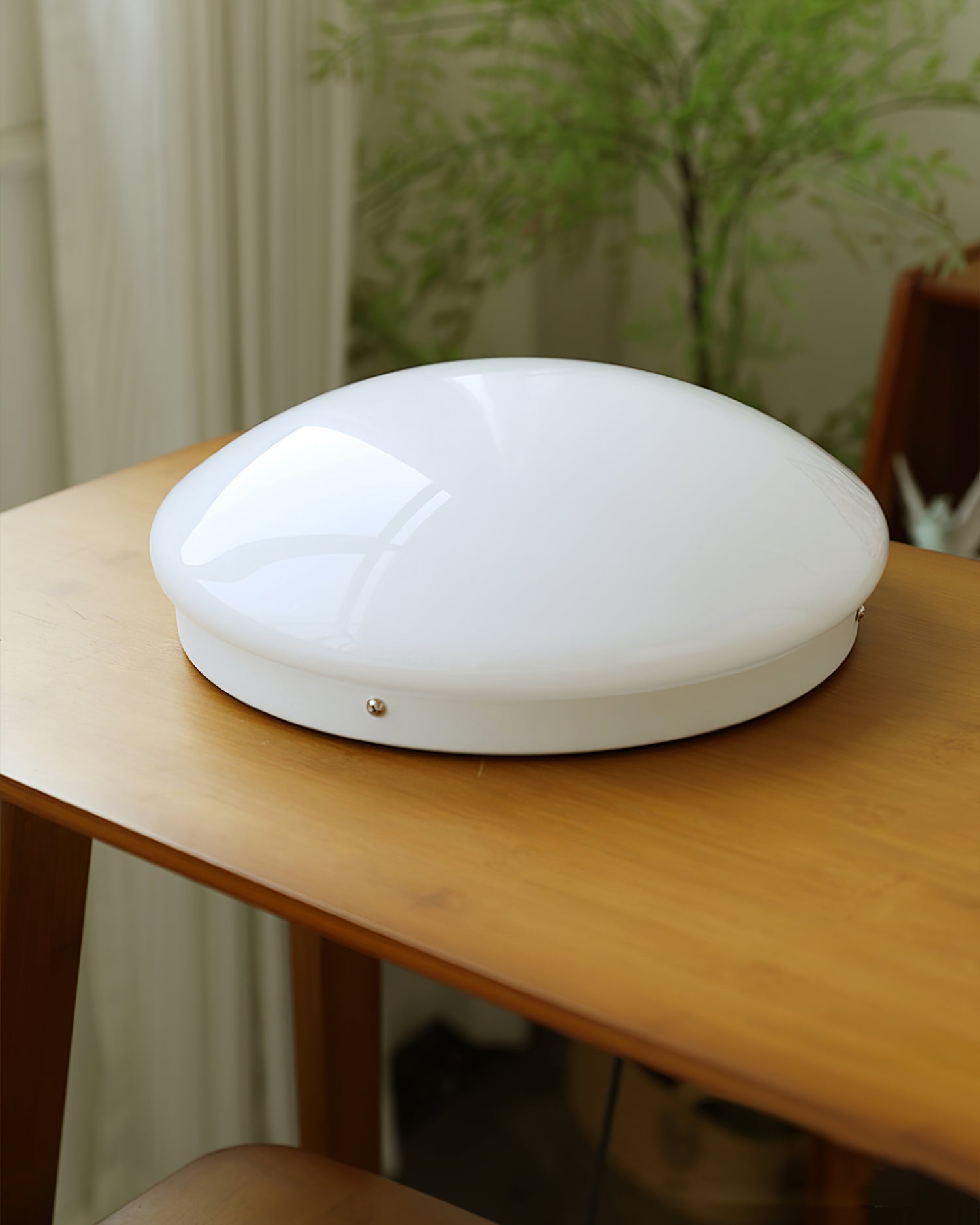 Alcaria Modern Minimalist Metal Glass Flush Ceiling Light - Letslighting