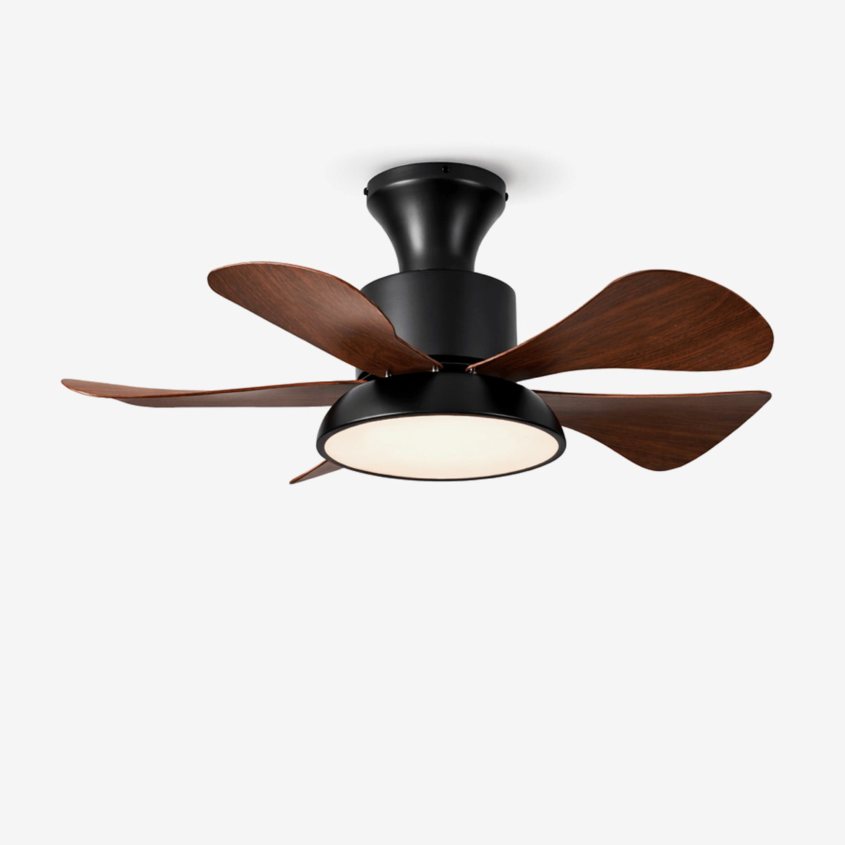 Archer Deckenventilatorleuchte mit Walnuss-Gehäuse und schwarzen Flügeln