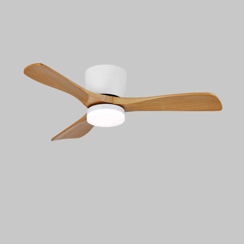 Knox Deckenventilator-Leuchte, die Luftstrom und Beleuchtung bietet.