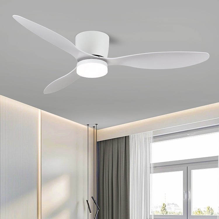 Brinor Deckenventilatorleuchte in Schwarz