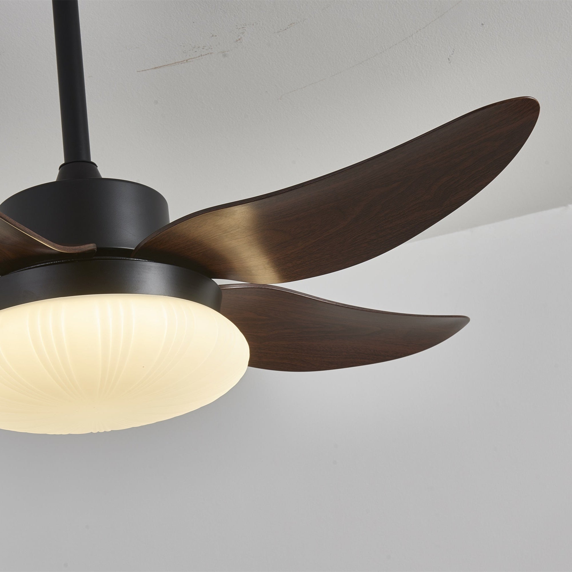 Zerith Deckenventilator mit Beleuchtung, Maßzeichnung