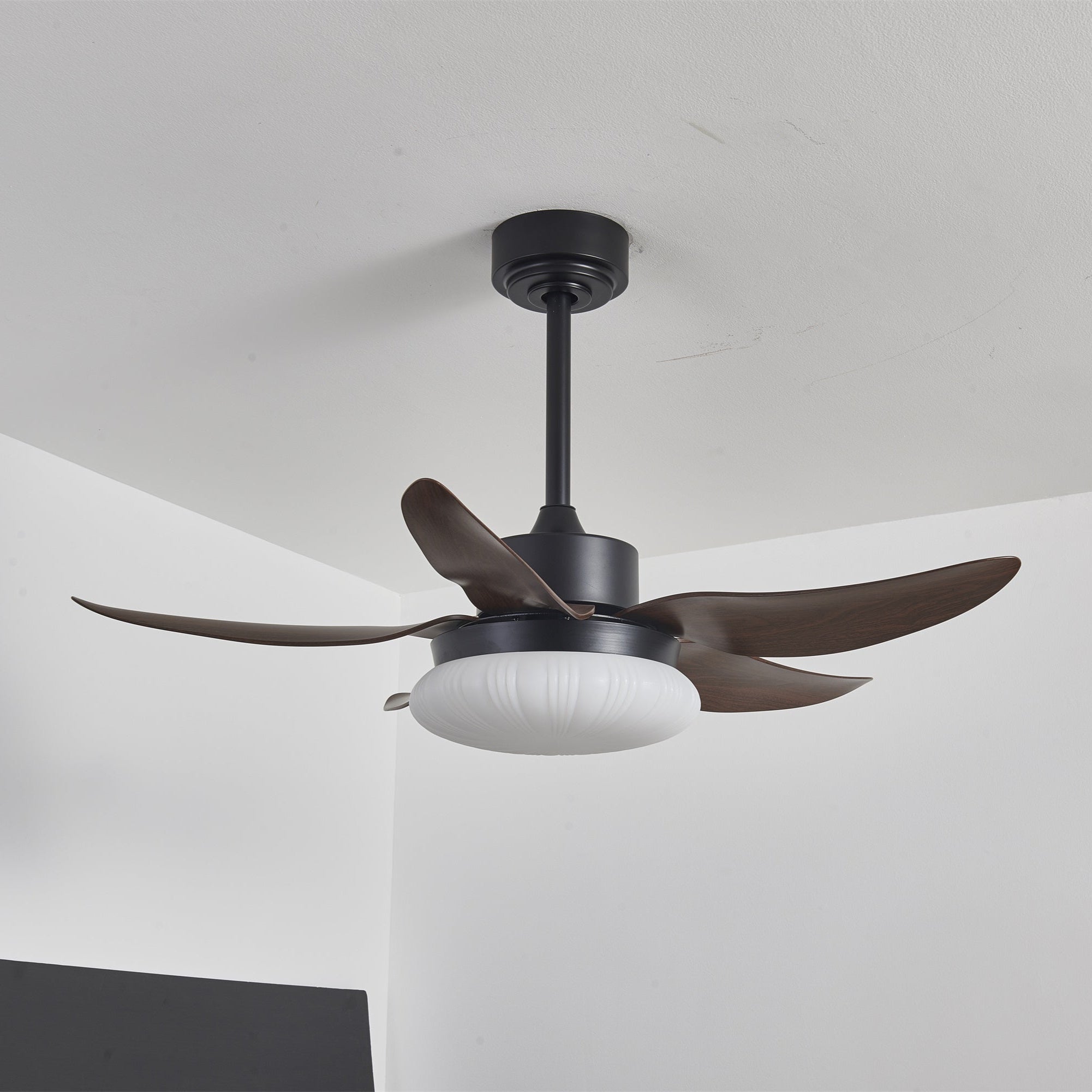 Zerith Deckenventilator mit Beleuchtung, zeigt Metallrahmen und Acrylschirm