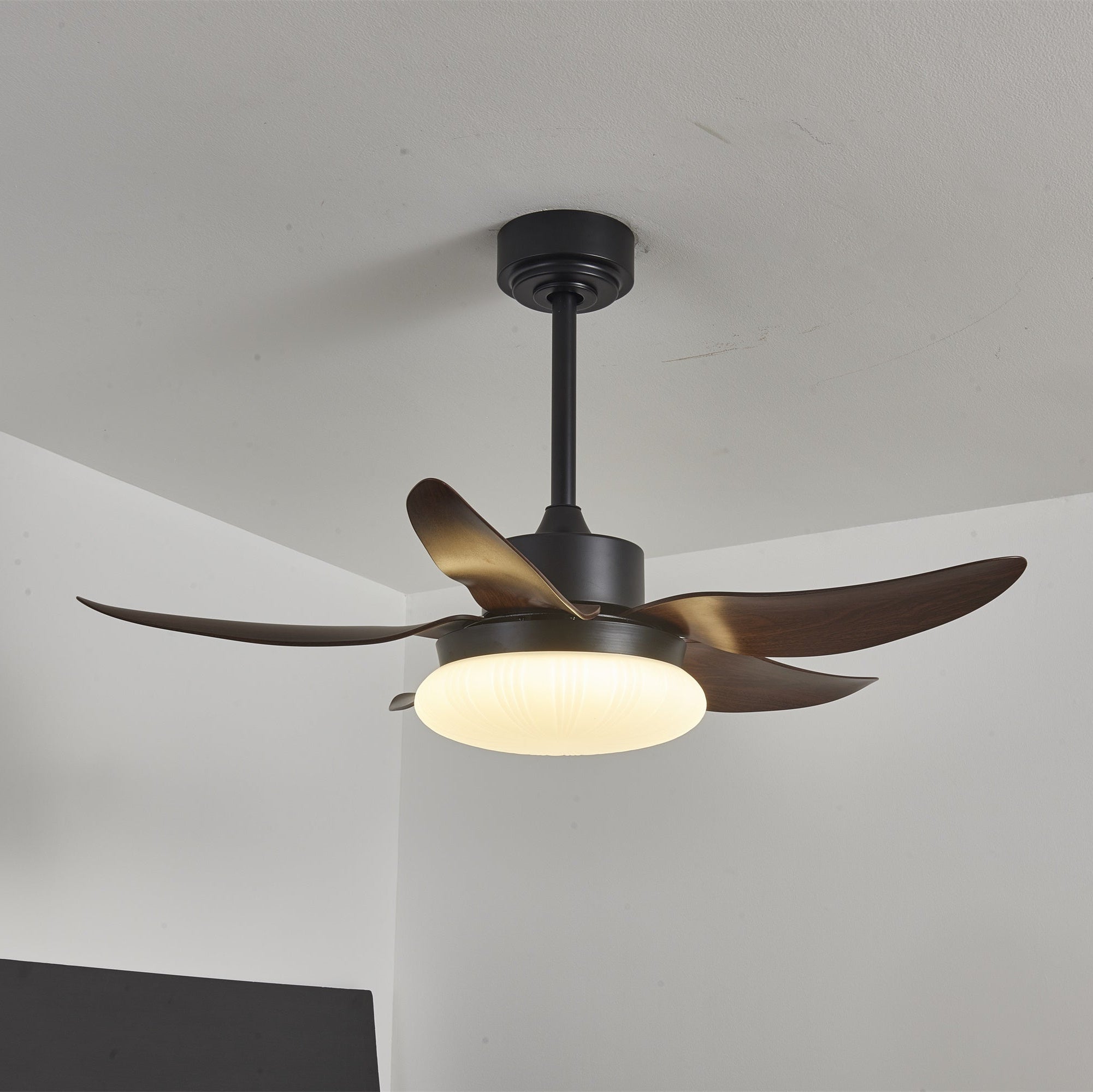 Zerith Deckenventilator mit Beleuchtung, Seitenansicht zeigt schlankes Profil