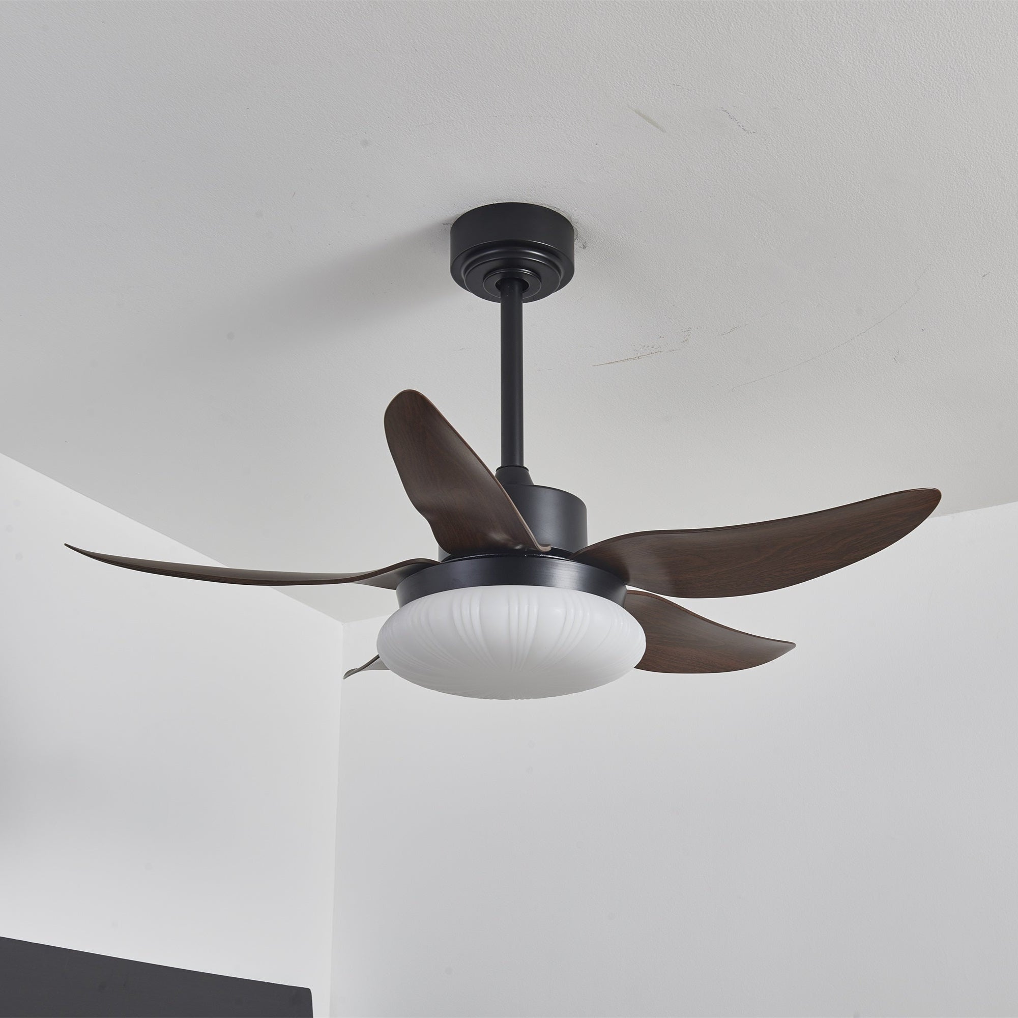 Zerith Deckenventilator mit Beleuchtung, Draufsicht auf die Flügel