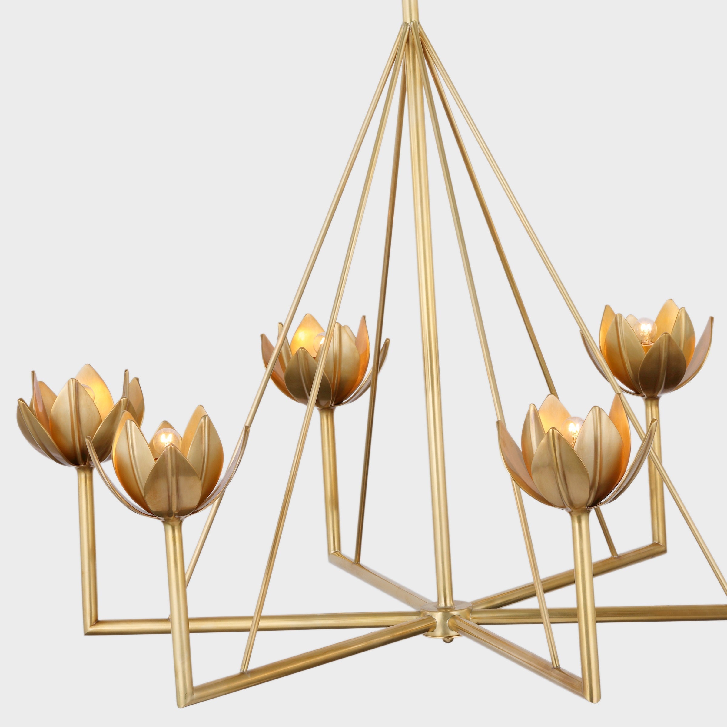 Alberto Modern Minimalist Floral Brass Chandelier - Letslighting
