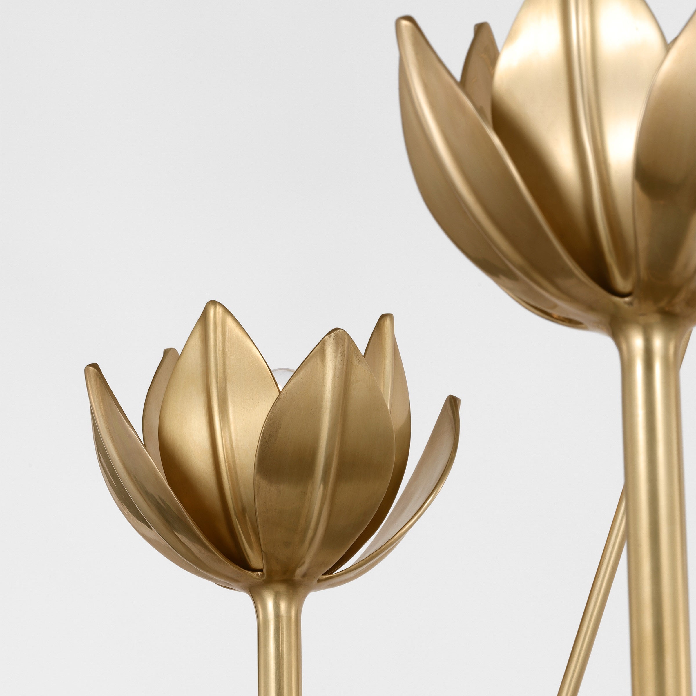 Alberto Modern Minimalist Floral Brass Chandelier - Letslighting