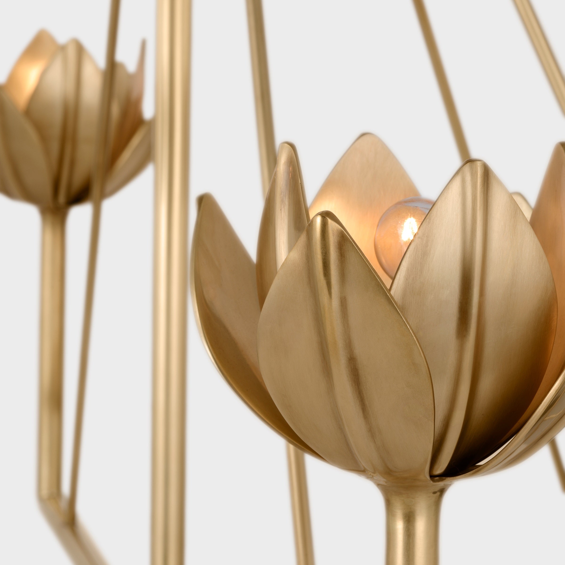 Alberto Modern Minimalist Floral Brass Chandelier - Letslighting