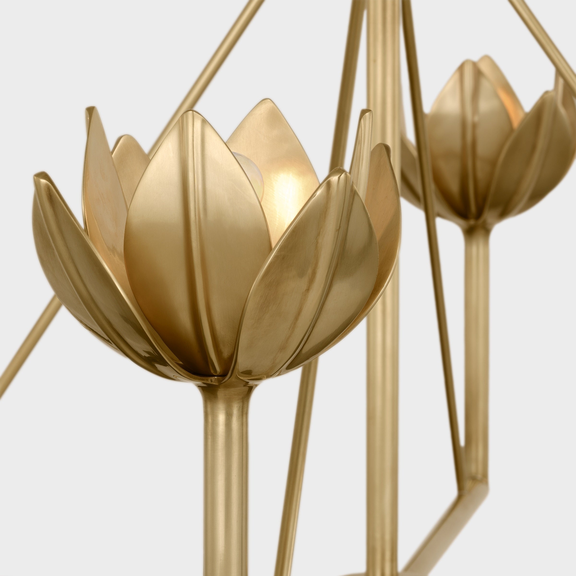 Alberto Modern Minimalist Floral Brass Chandelier - Letslighting