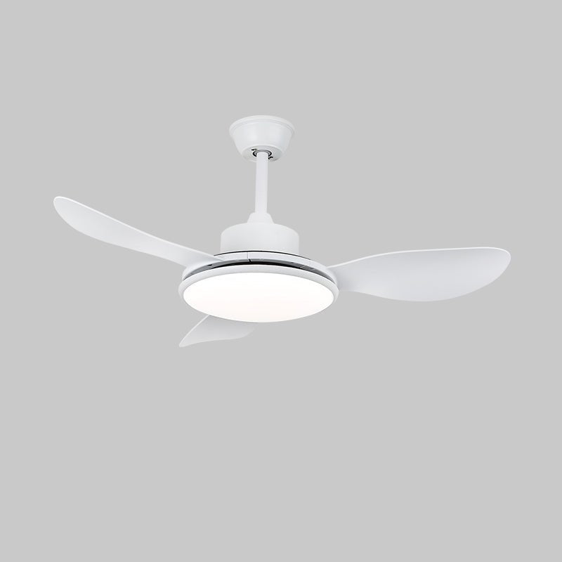 Tirenor Holz Deckenventilator mit Beleuchtung