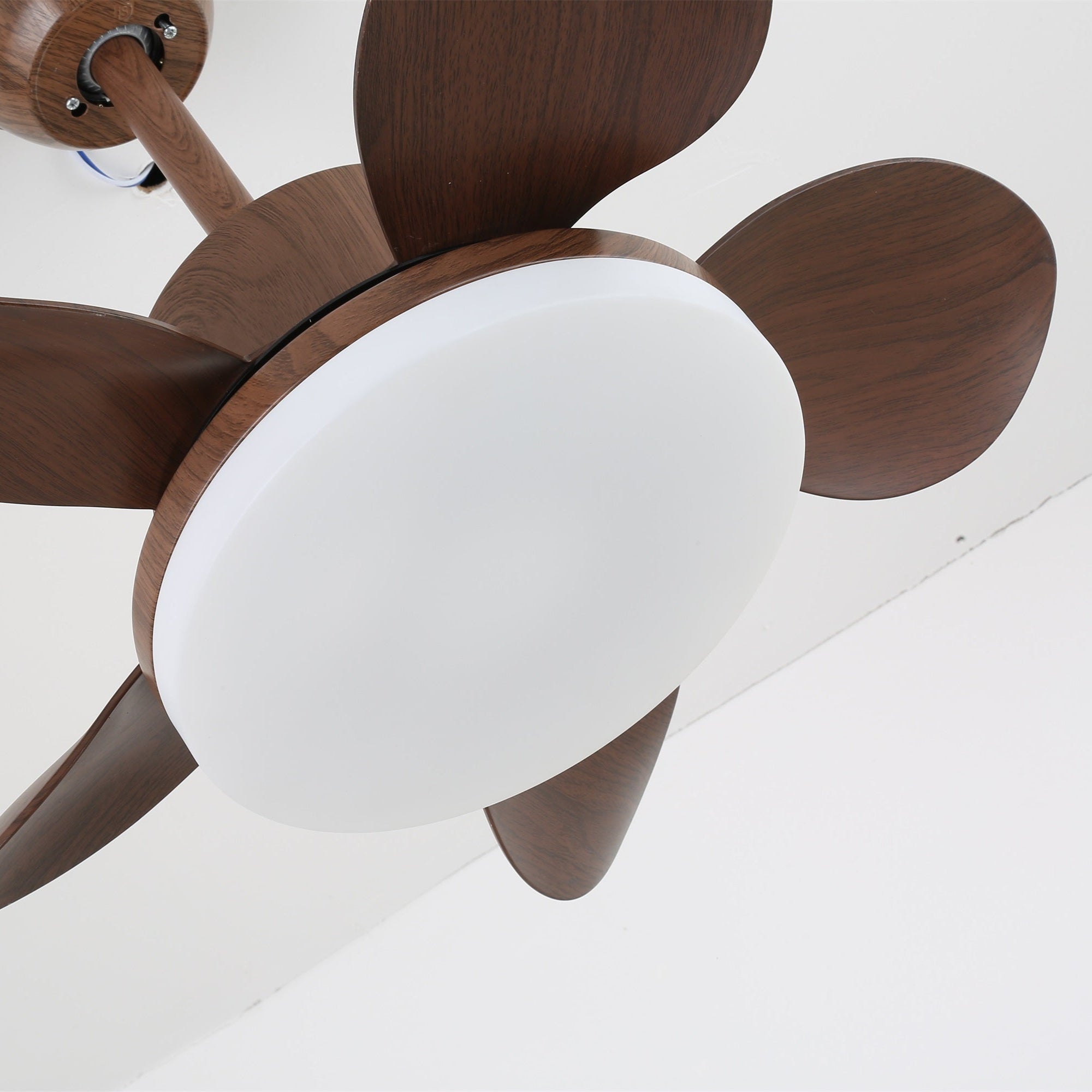 Alenya Ventilatorleuchte, die ihr feuchtraumgeeignetes IP20-Design zeigt