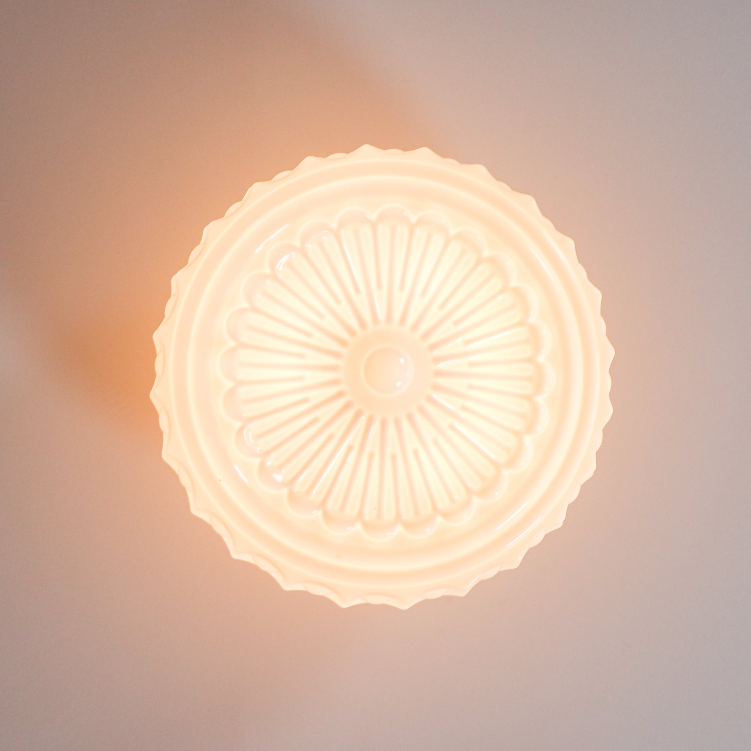 Solara Deckenleuchte Weiß Glas Floral-Letslighting