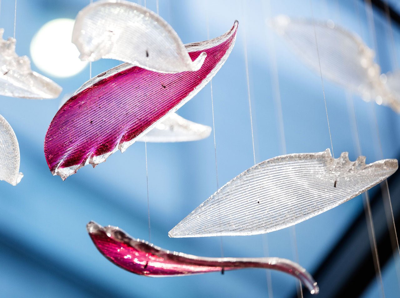 Zathaara Glas Feder Form Kronleuchter-Letslighting