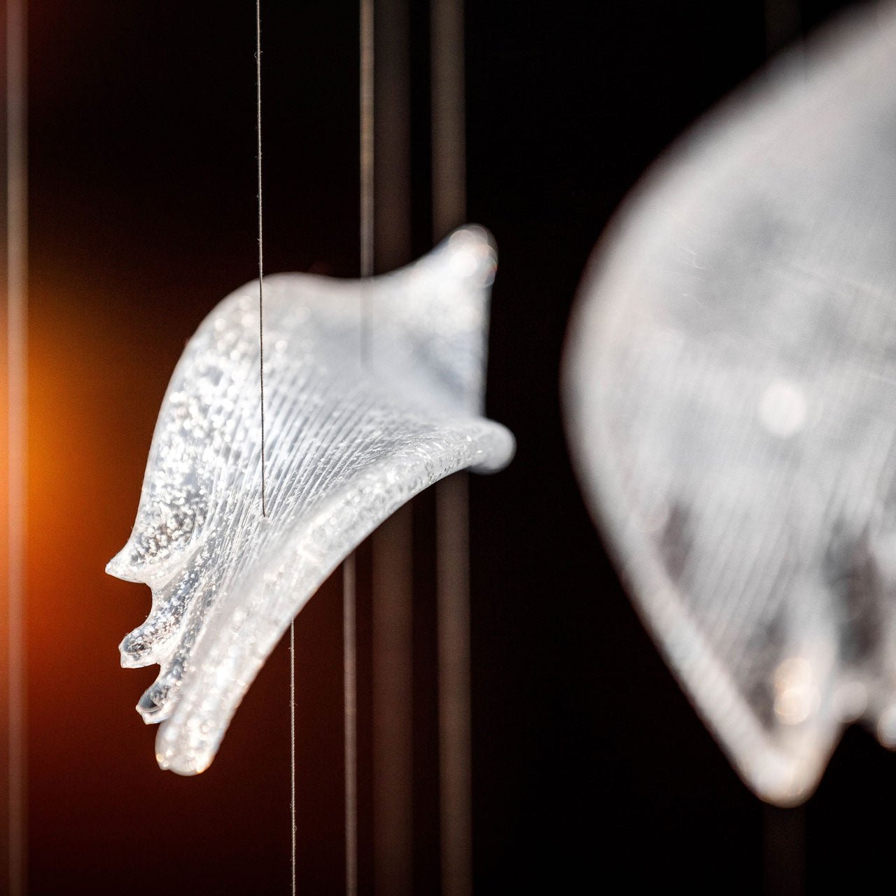 Zathaara Glas Feder Form Kronleuchter-Letslighting