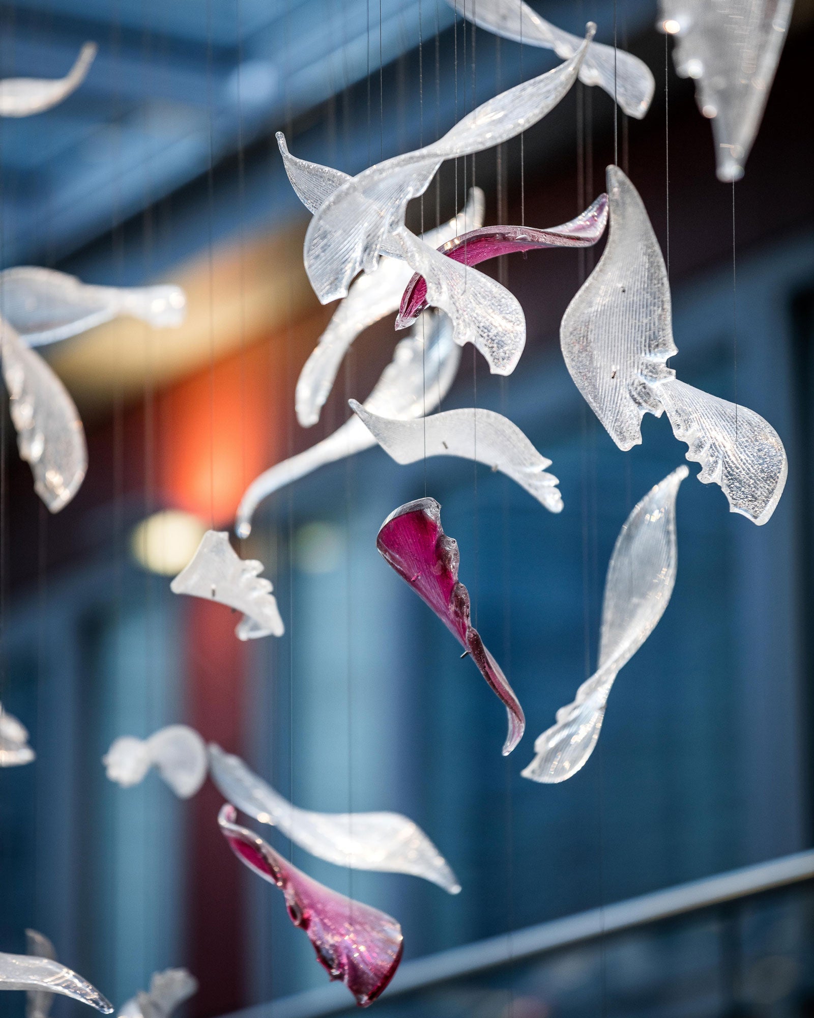 Zathaara Glas Feder Form Kronleuchter-Letslighting