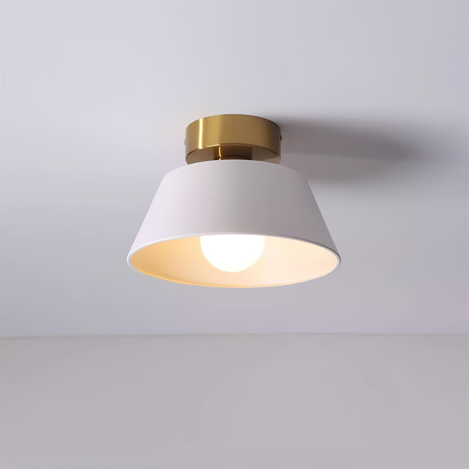 Wren Metal Modern Minimalist Ceiling Light-Letslighting