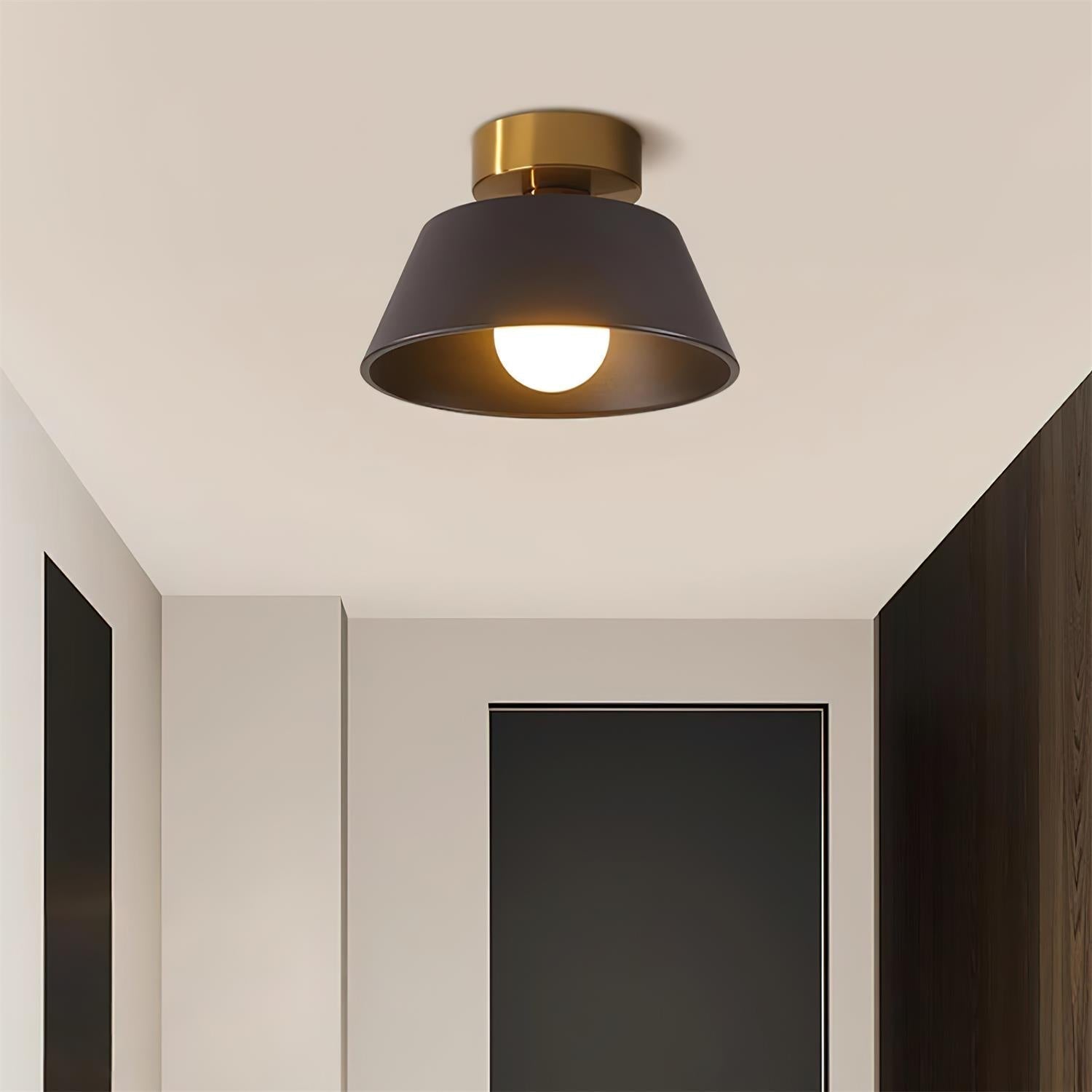 Wren Metal Modern Minimalist Ceiling Light-Letslighting