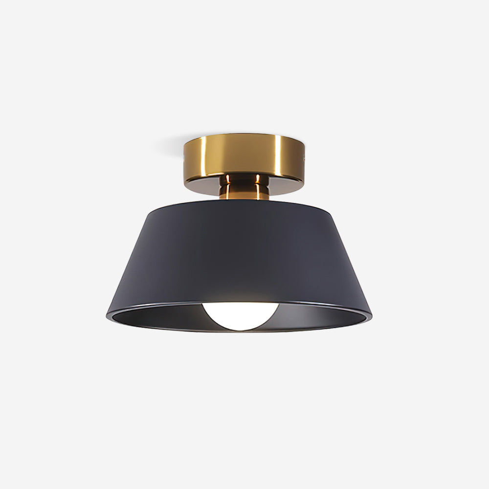 Wren Metal Modern Minimalist Ceiling Light-Letslighting