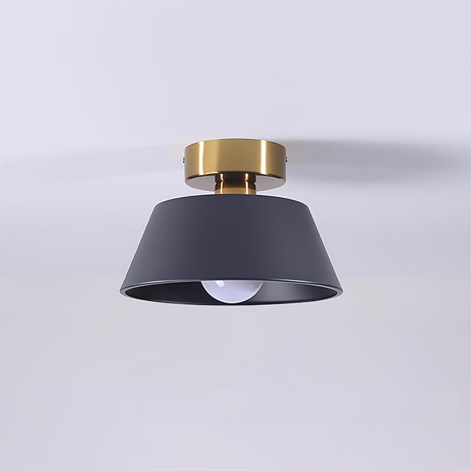 Wren Metal Modern Minimalist Ceiling Light-Letslighting