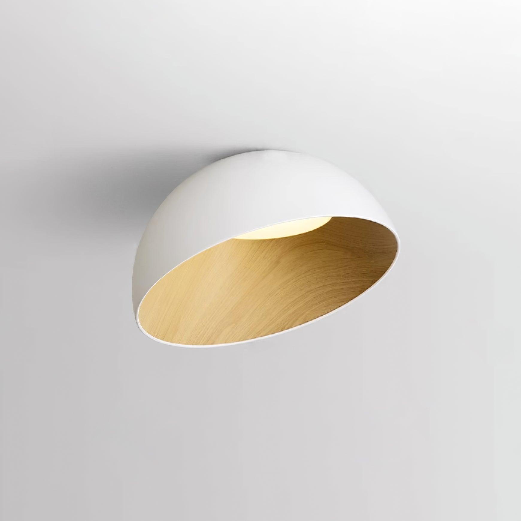 Parker Minimalist Metal Ceiling Lamp-Letslighting