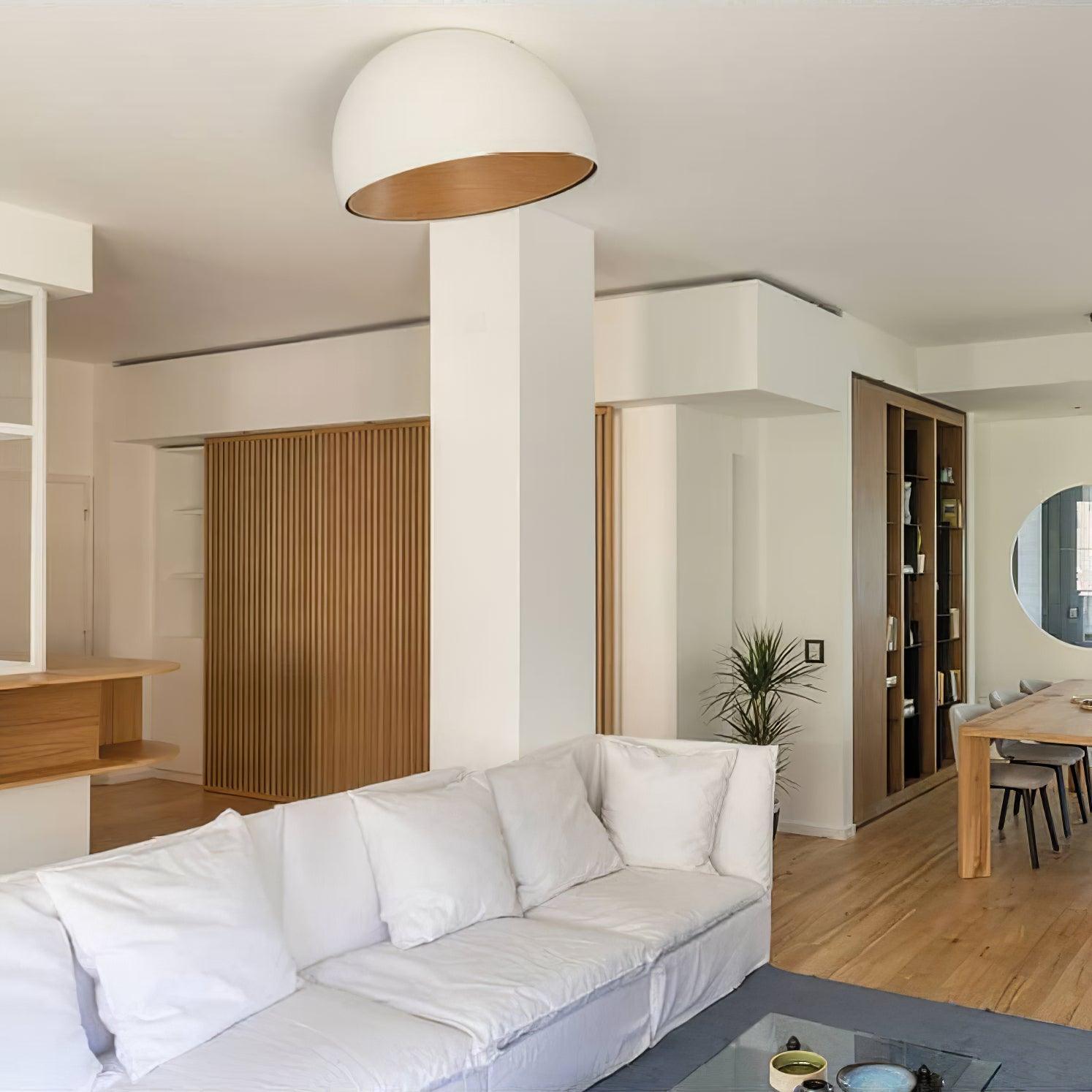 Parker Minimalist Metal Ceiling Lamp-Letslighting