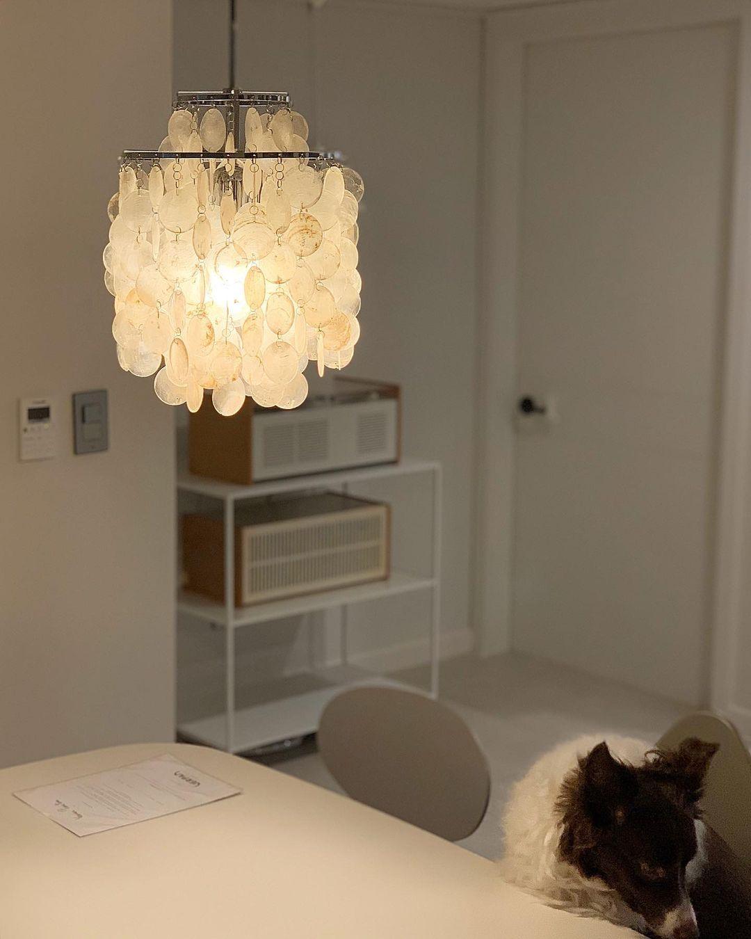 Lustra Runde Muschel-Ring Hängeleuchte-Letslighting
