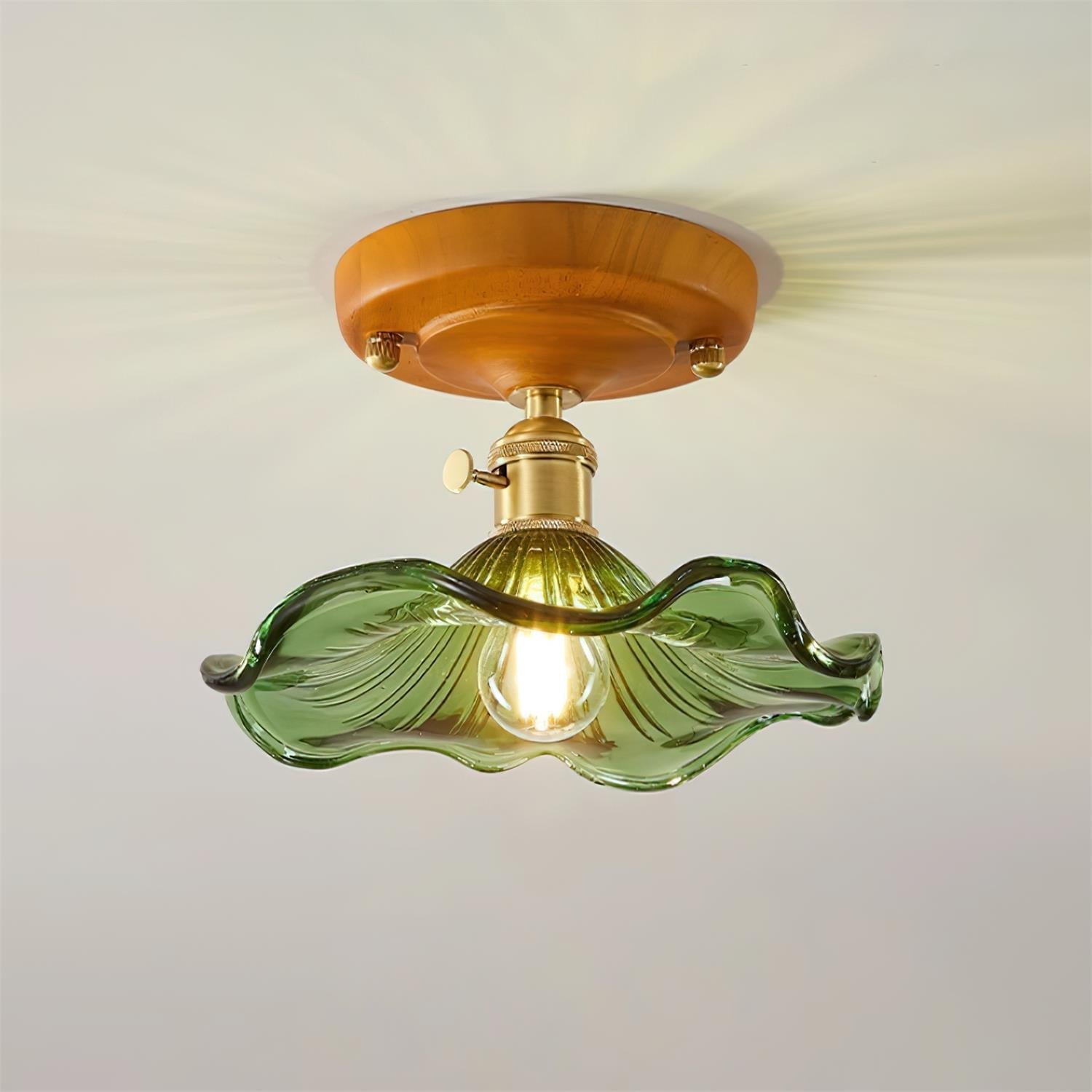 Ceiling Light Wood Canopy Brass & Glass Shade Vintage Floral Farmhouse - Letslighting