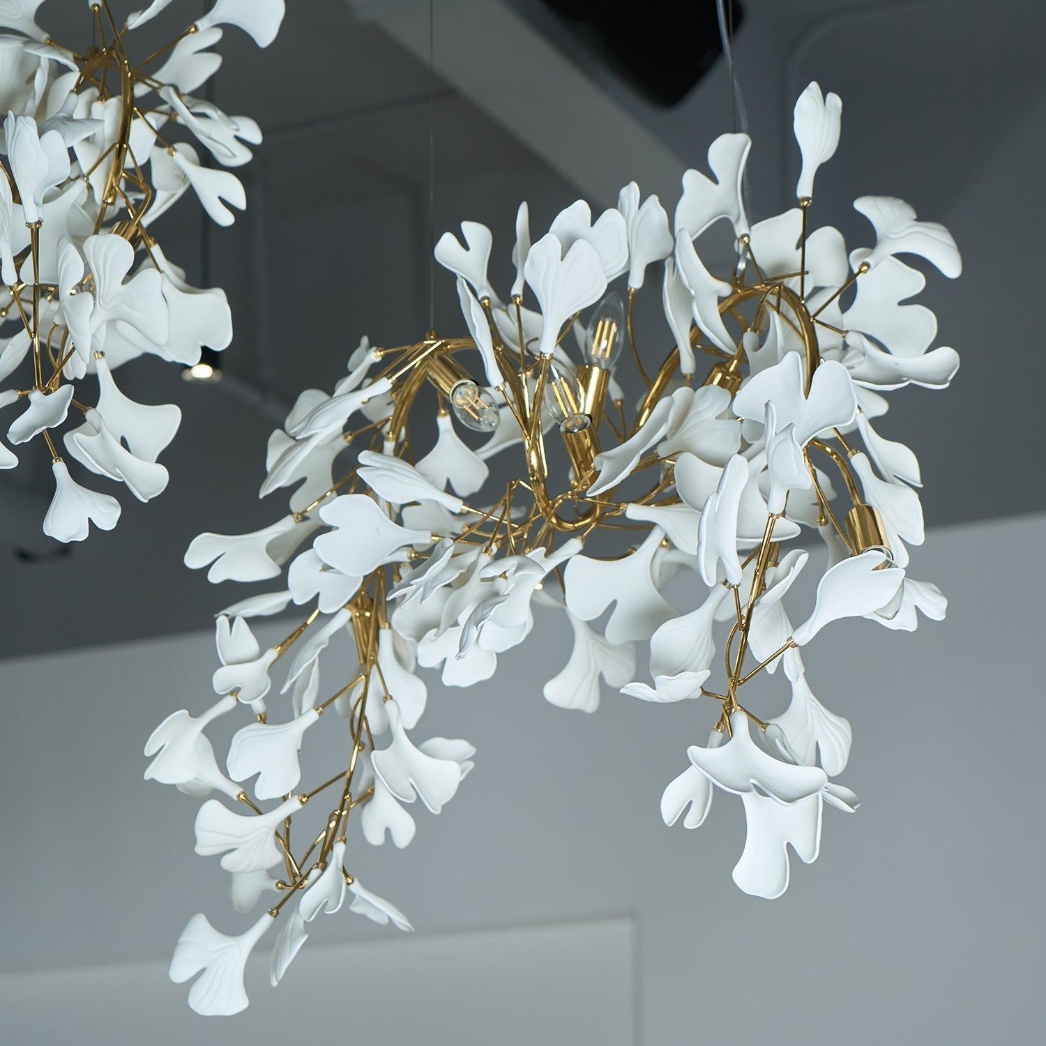 Elysia Florale Baldachin Kronleuchter-Letslighting