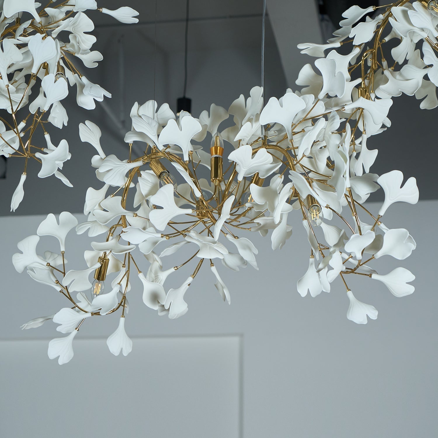 Elysia Florale Baldachin Kronleuchter-Letslighting