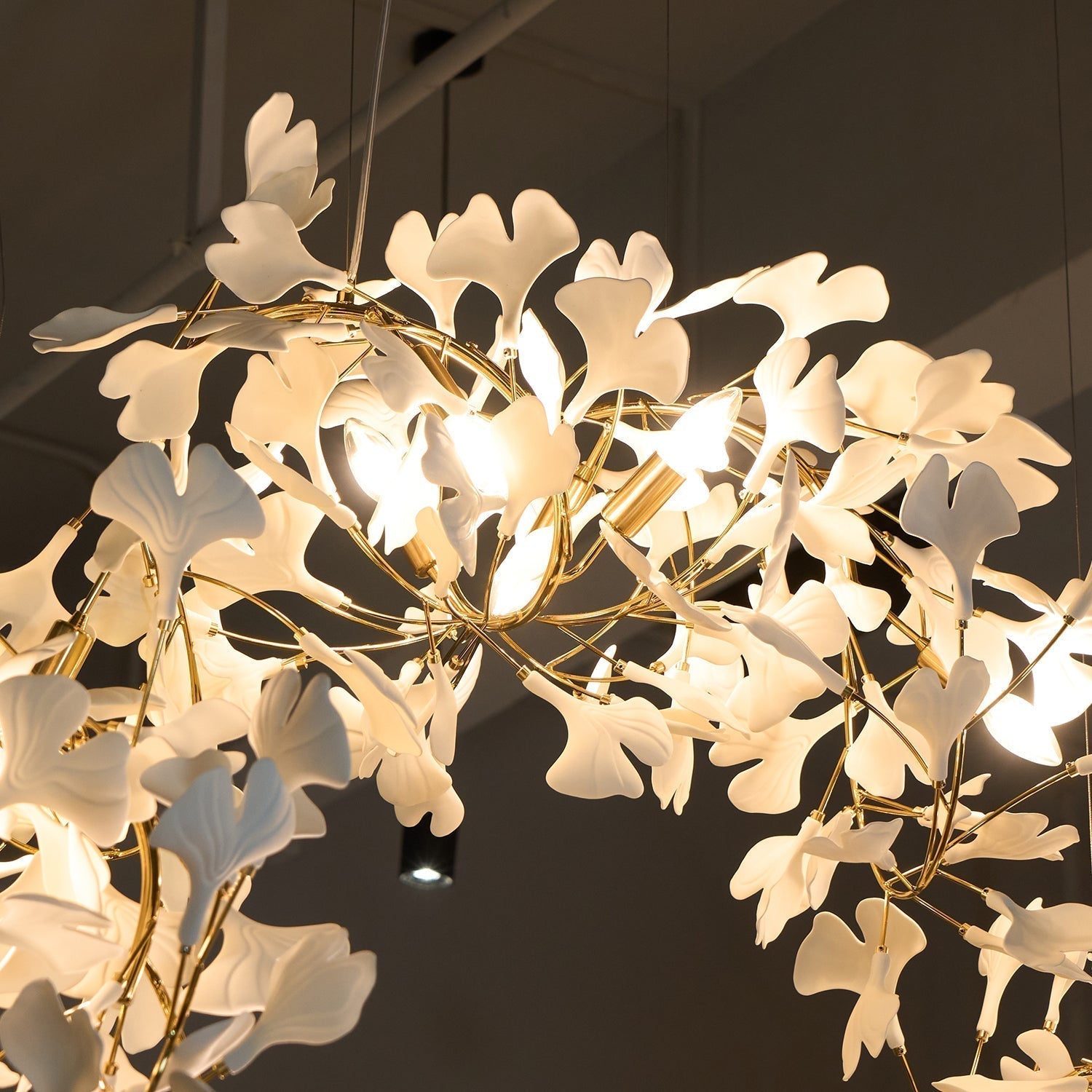 Elysia Florale Baldachin Kronleuchter-Letslighting