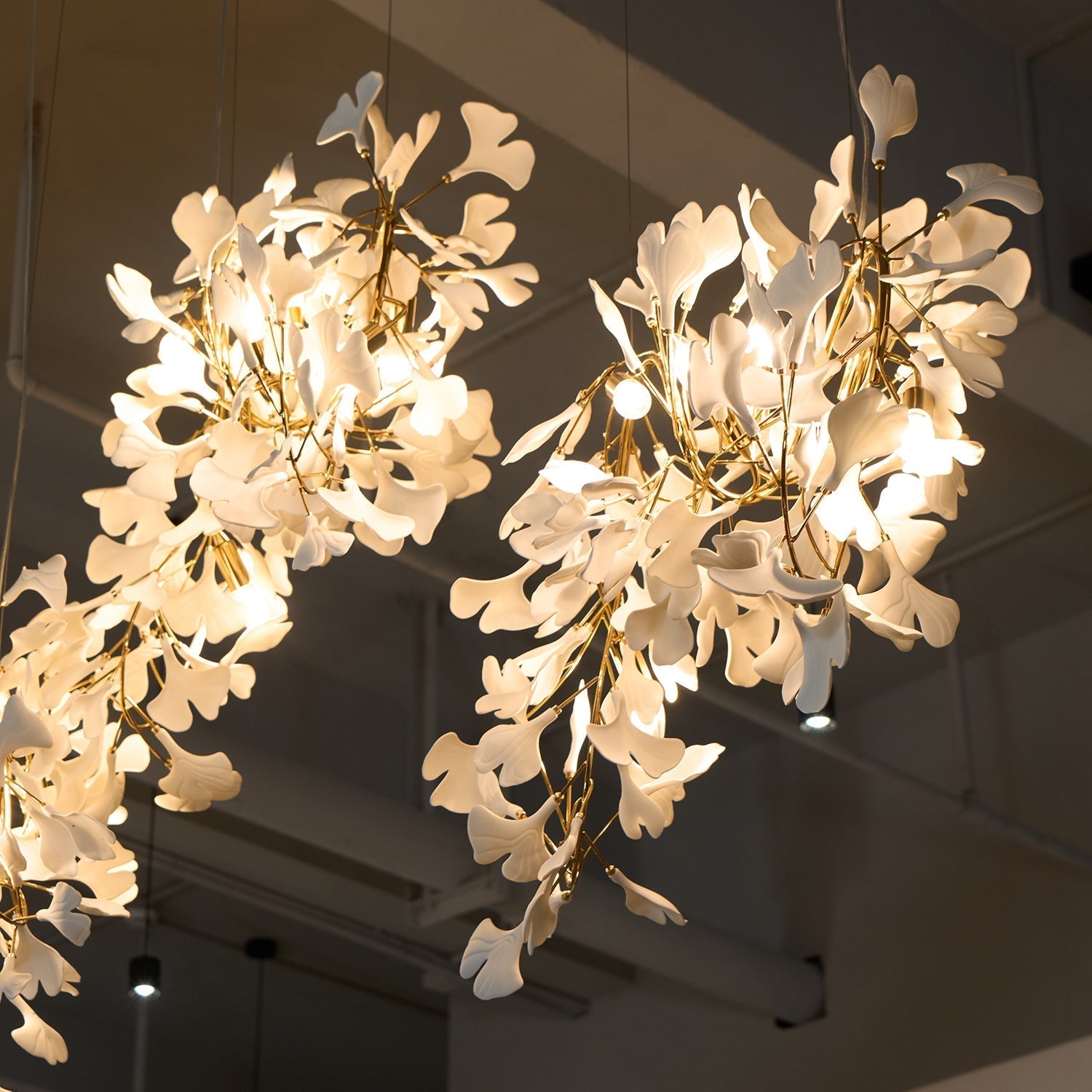 Elysia Florale Baldachin Kronleuchter-Letslighting
