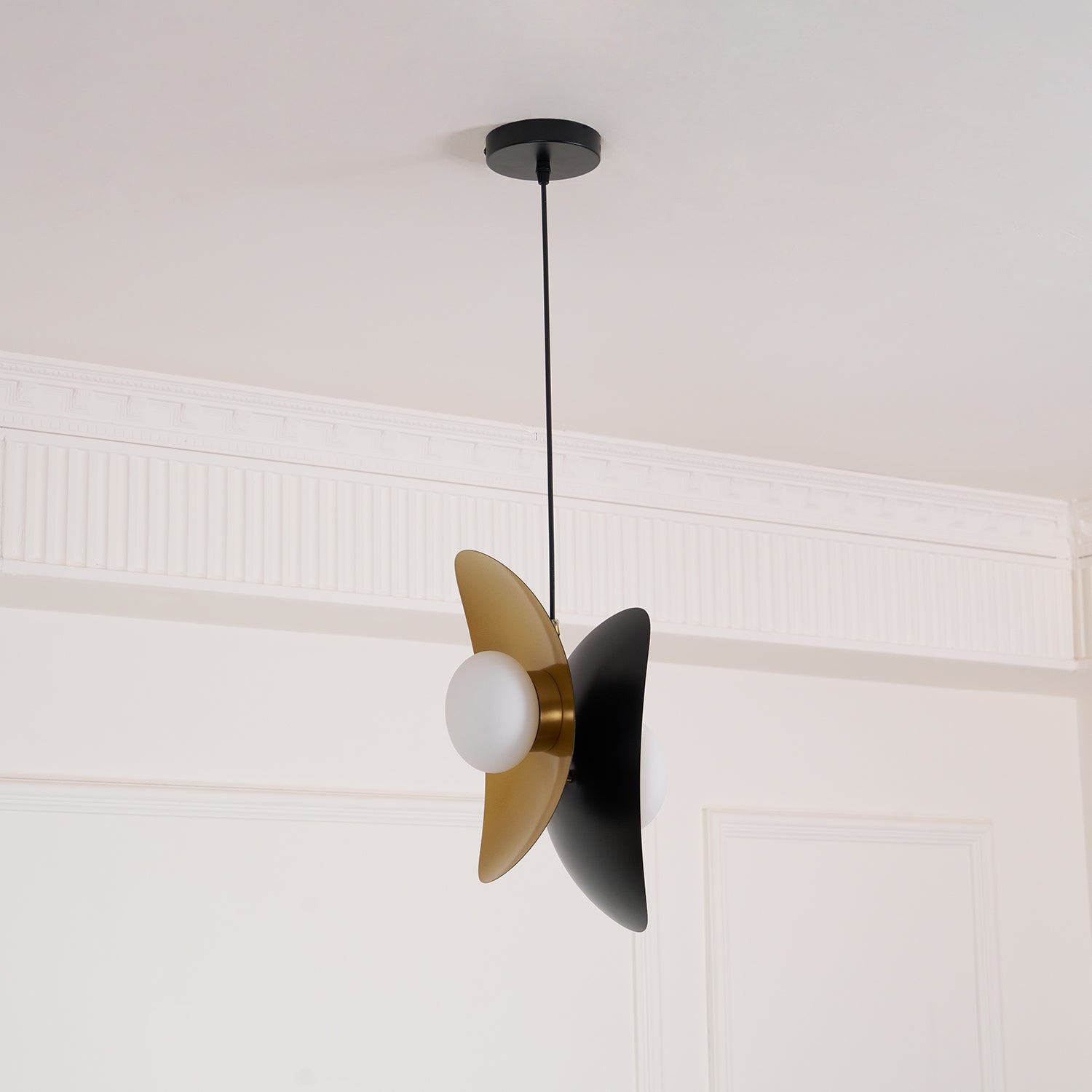 Fioran Zeitgenössische Pendelleuchte-Letslighting