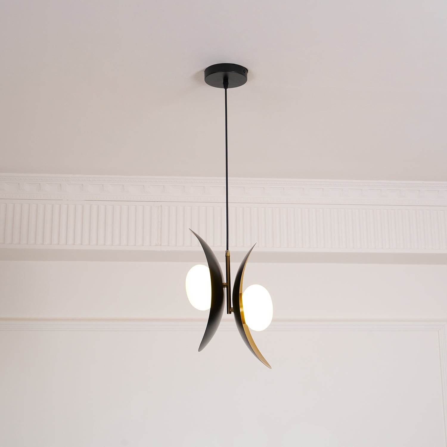 Fioran Zeitgenössische Pendelleuchte-Letslighting