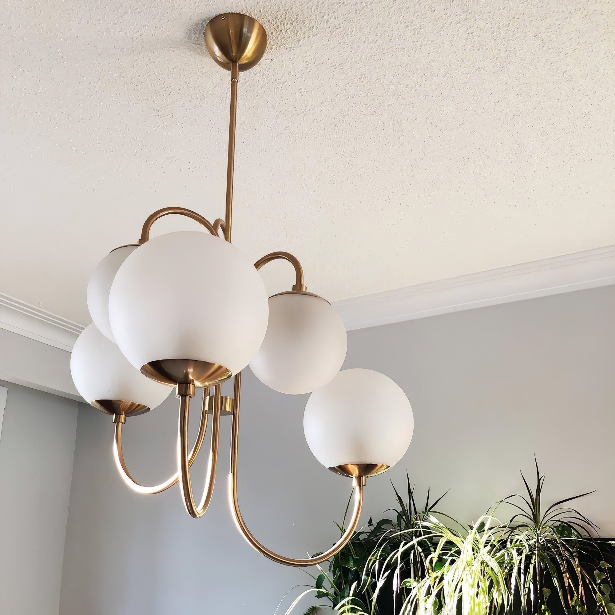 Lustra Kronleuchter Messing Globe Cluster Gebogener Arm-Letslighting