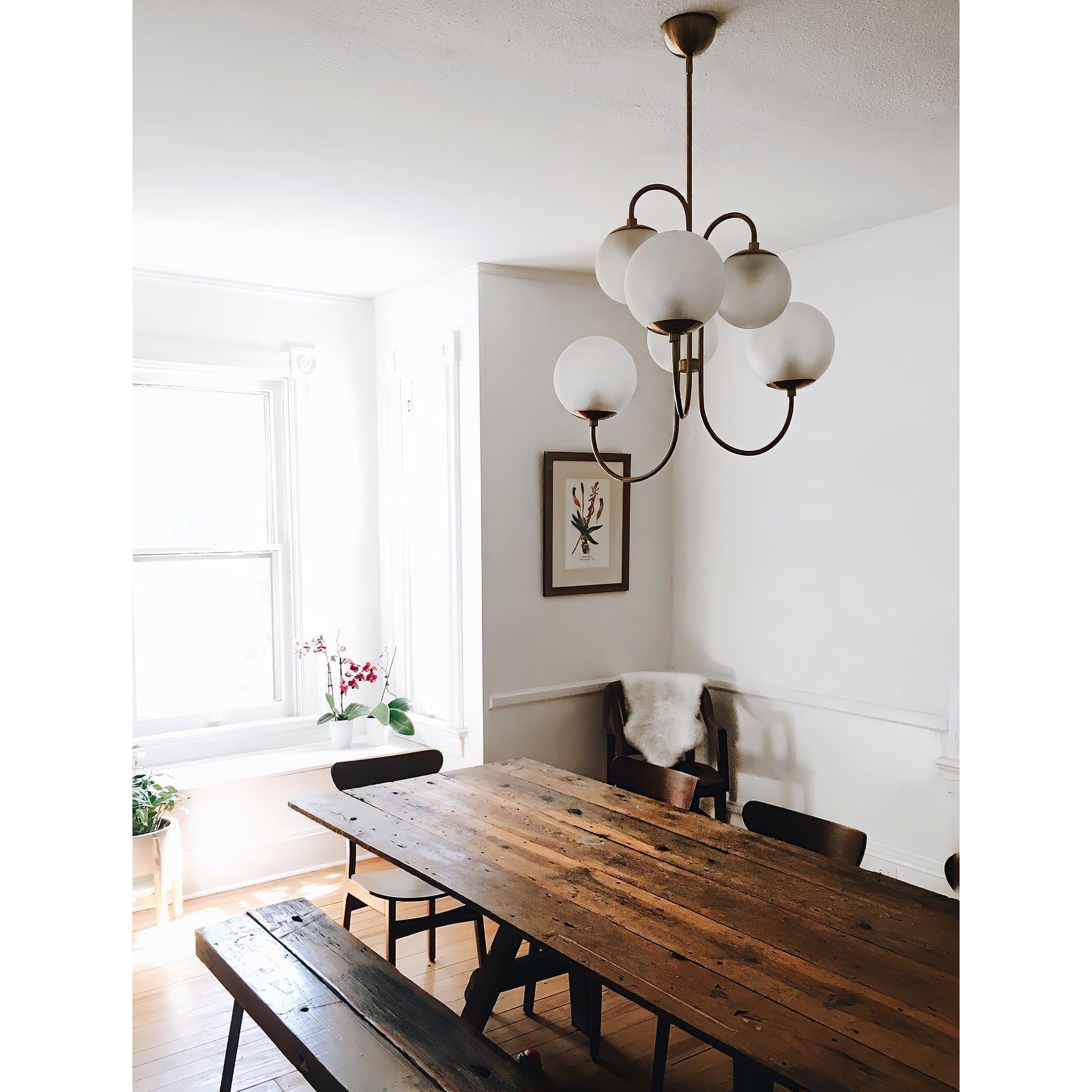 Zathaor Individual Creativity Metal Glass Chandelier - Letslighting