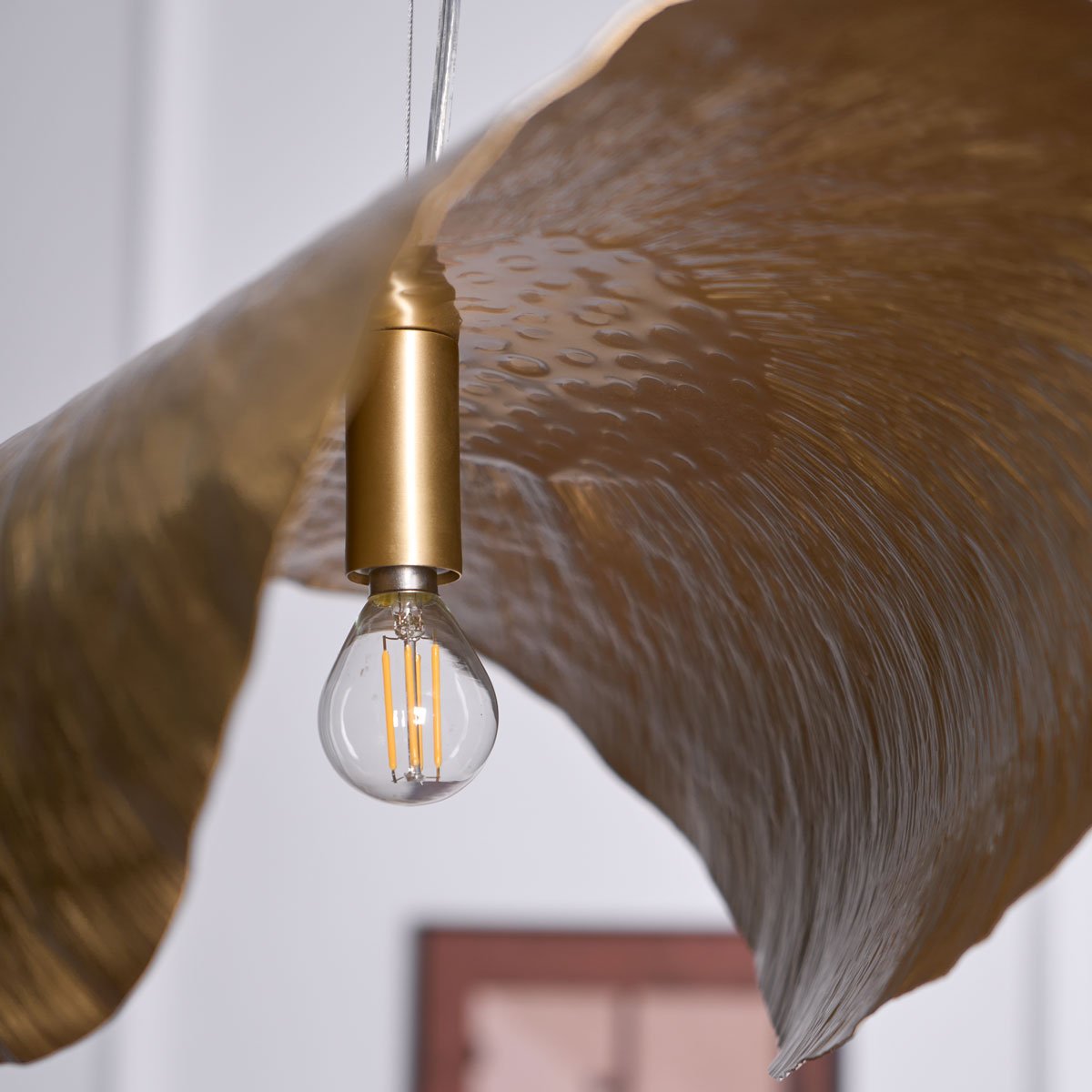 Solere Pendelleuchte Minimalistisch-Letslighting