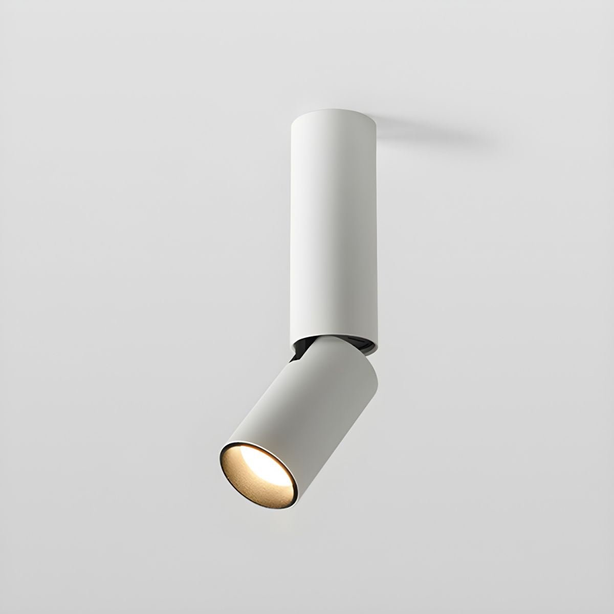 Elvynira Verstellbare Surface Downlight-Deckenleuchte-Letslighting